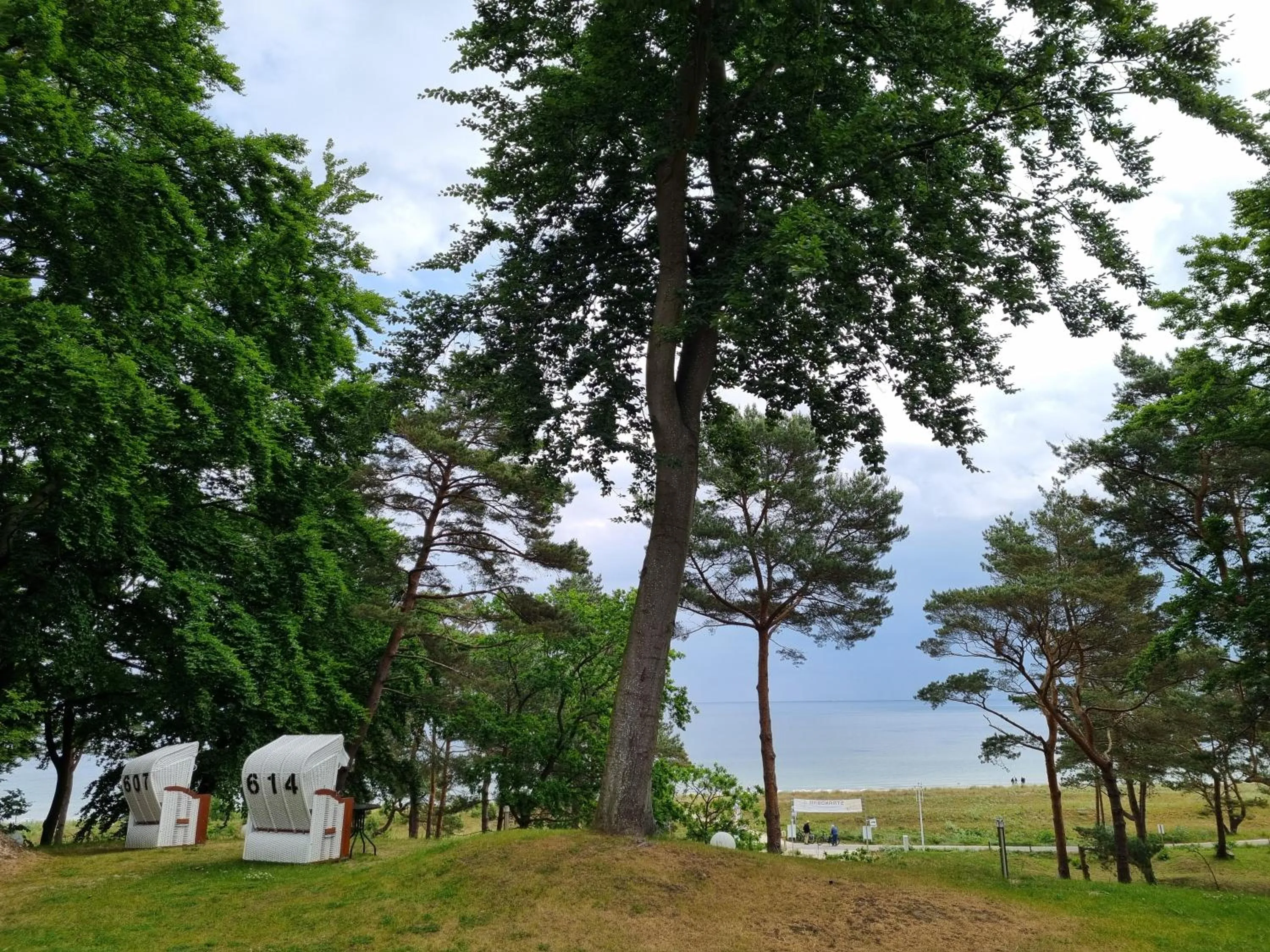 View (from property/room) in Strandhotel Lindequist