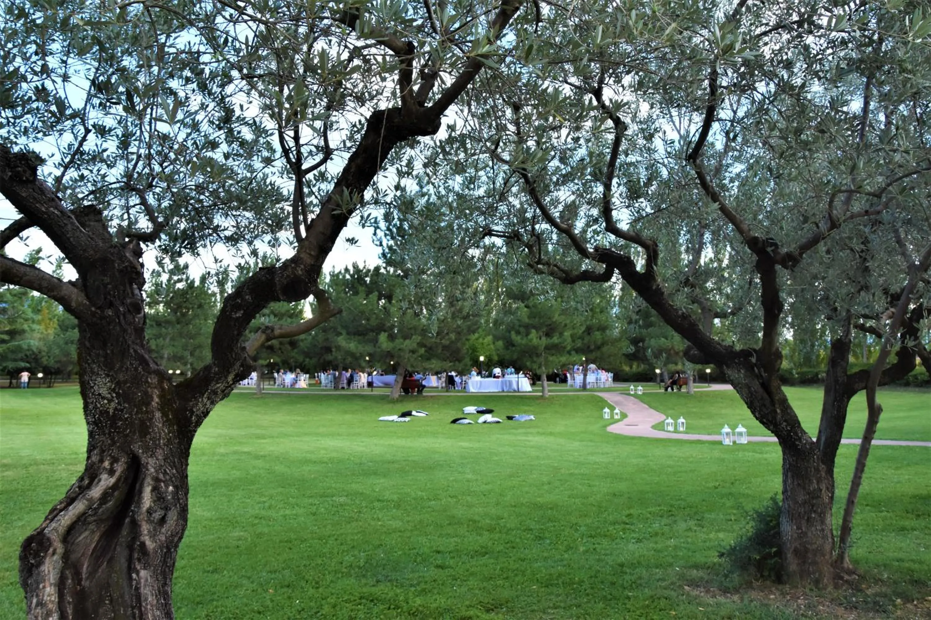 Spring in Delfina Palace Hotel