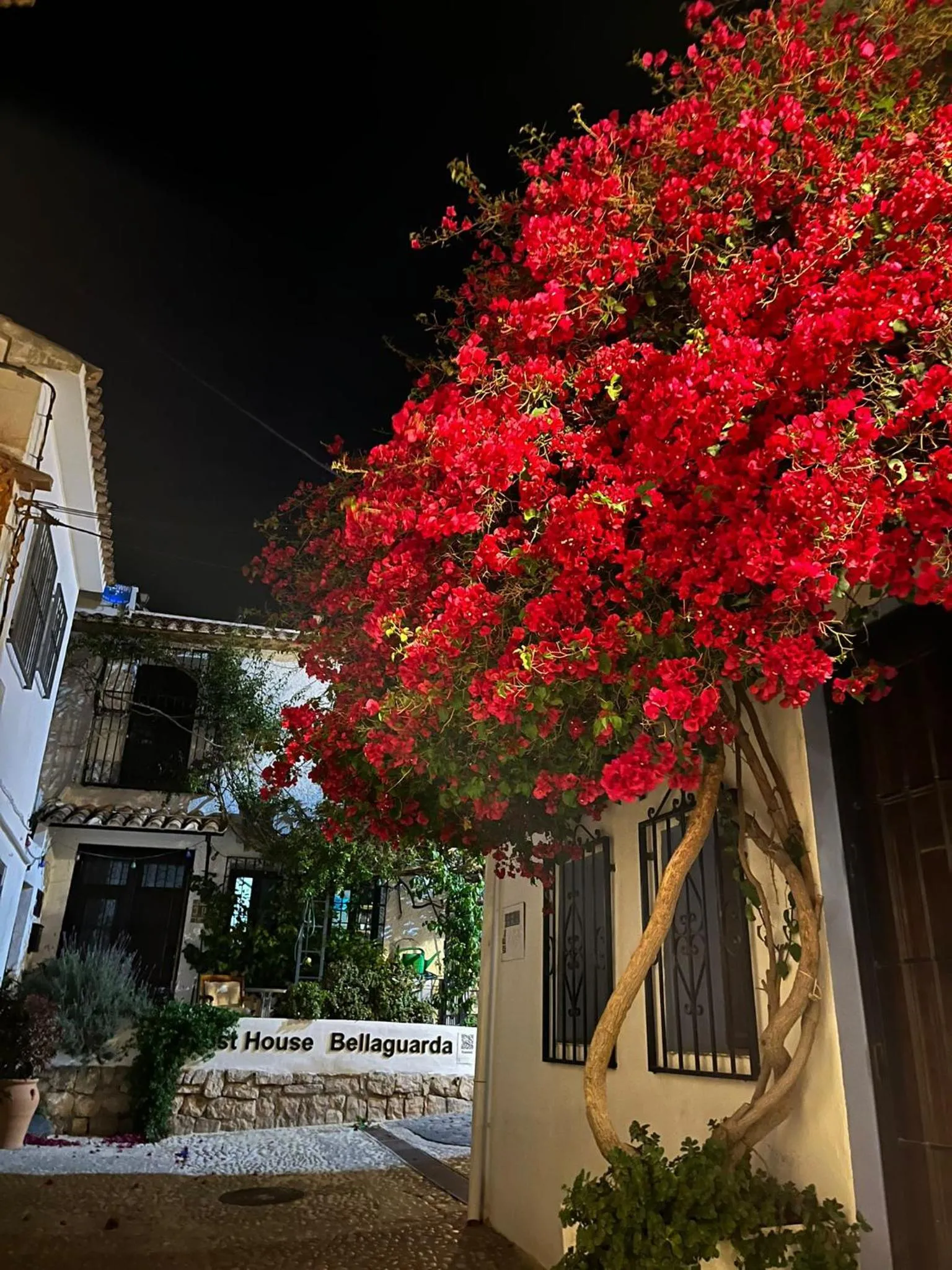 Facade/entrance in Guest House Bellaguarda