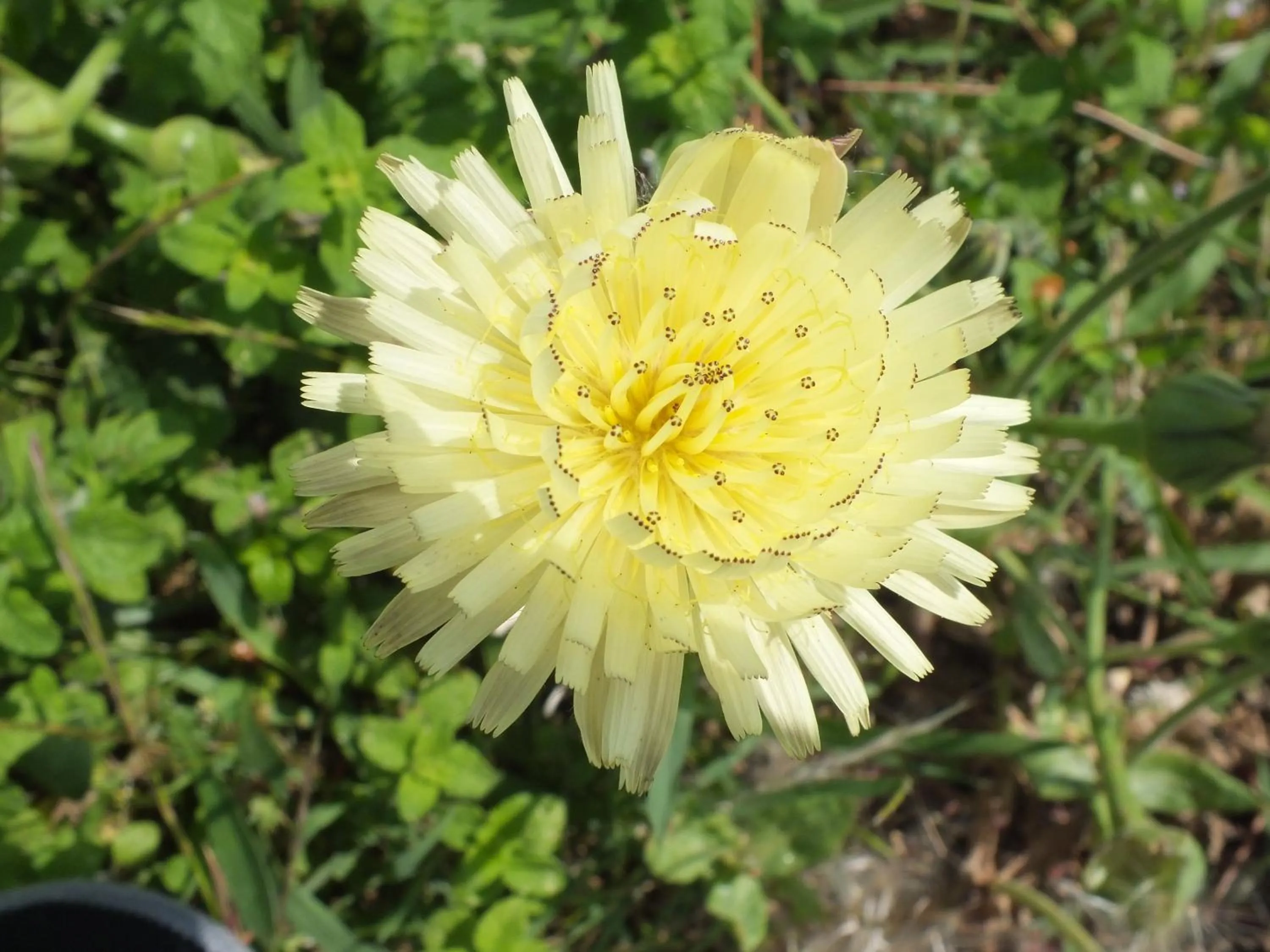 Decorative detail in Casa Vacanze Santa Maria