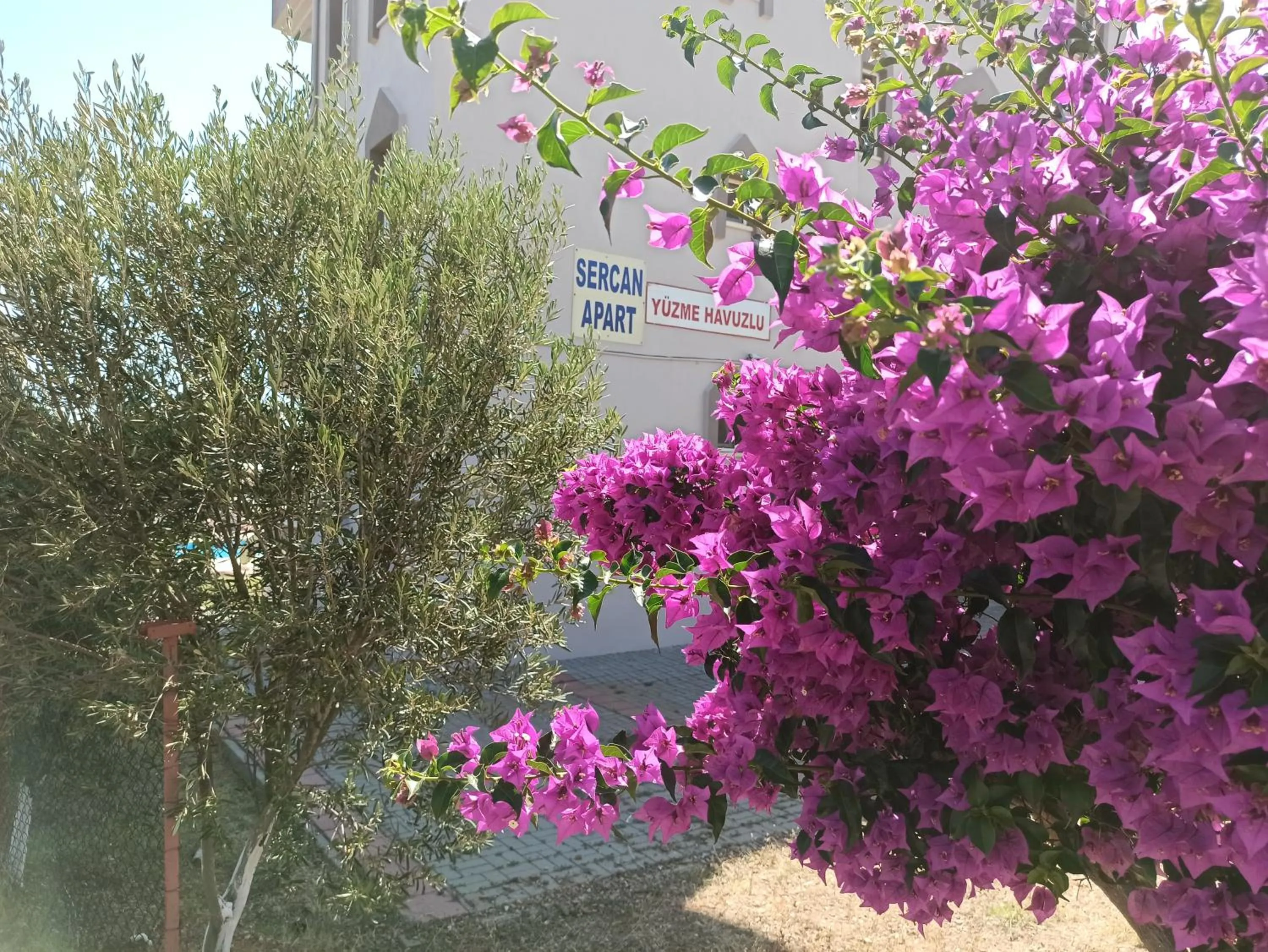 Garden in Sercan Apart