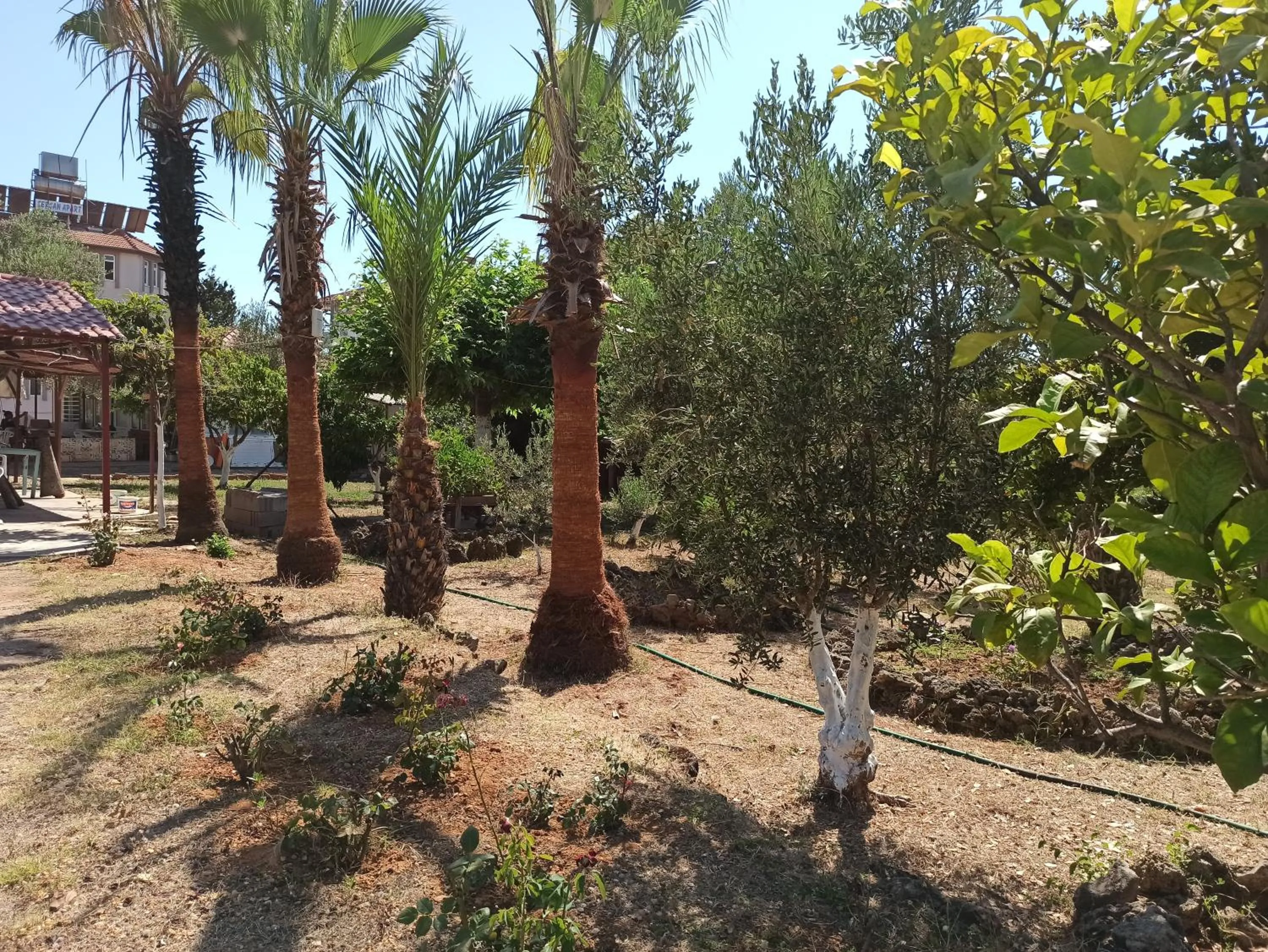 Natural landscape in Sercan Apart