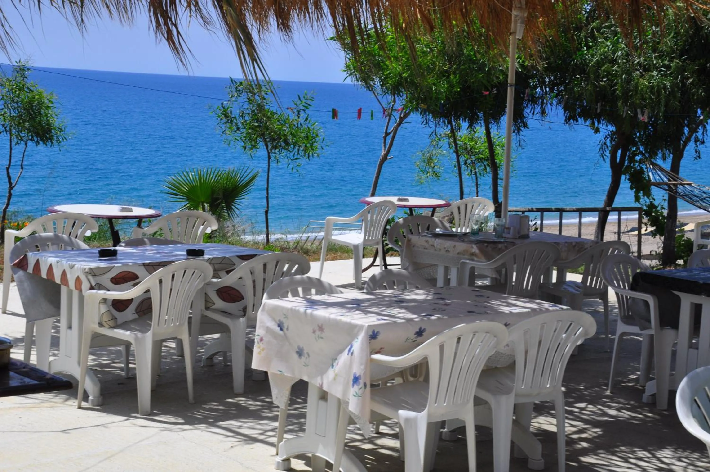 Food in Mavi Cennet Camping Caravan