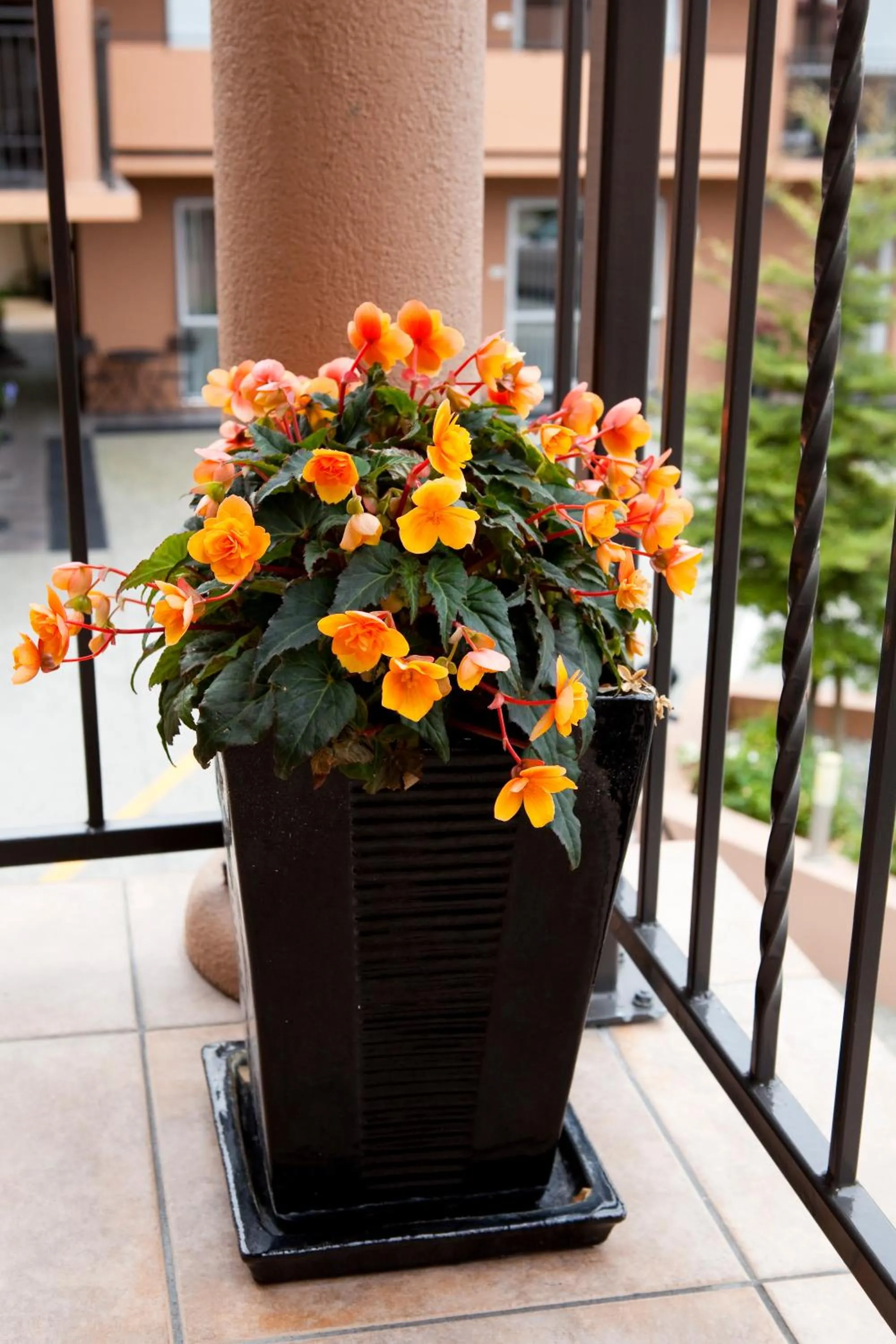 Balcony/Terrace in Kings Of Riccarton Motel- Close to Railway Station and Airport with Shuttle service