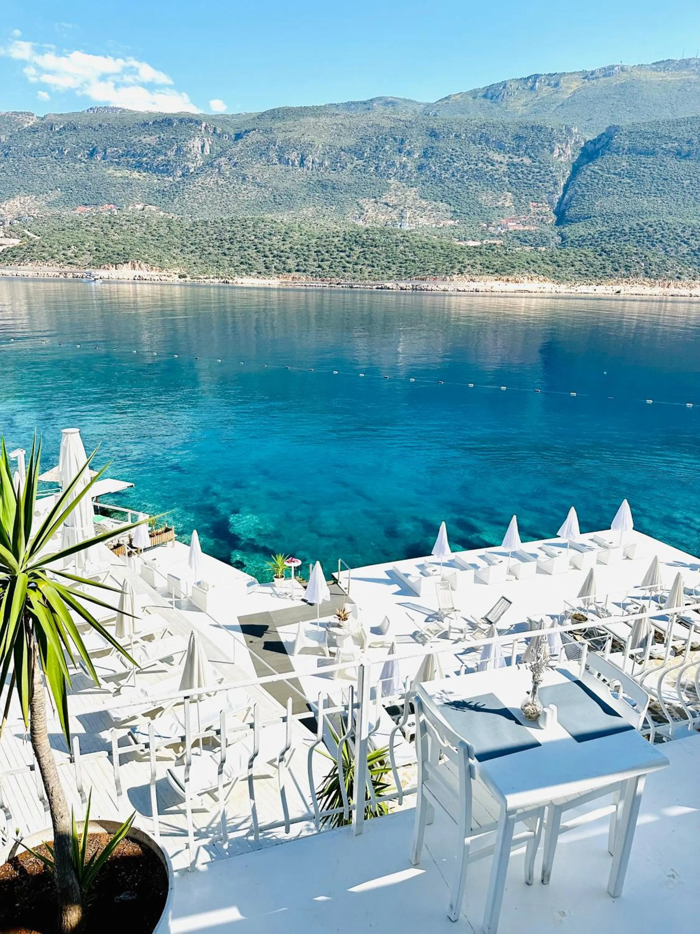 Restaurant/places to eat in Club Çapa Hotel