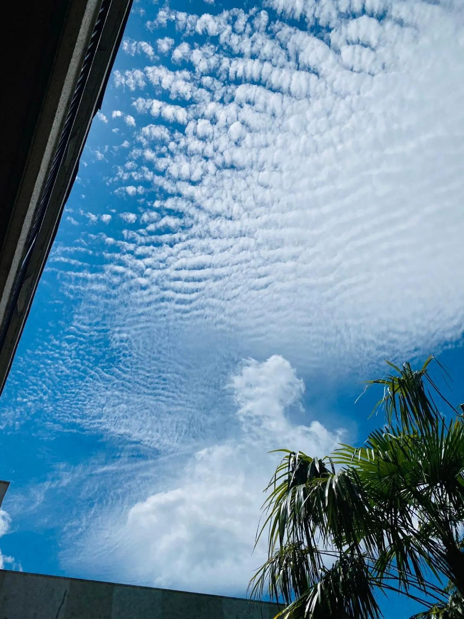 Natural landscape in ISOLA Izukogen