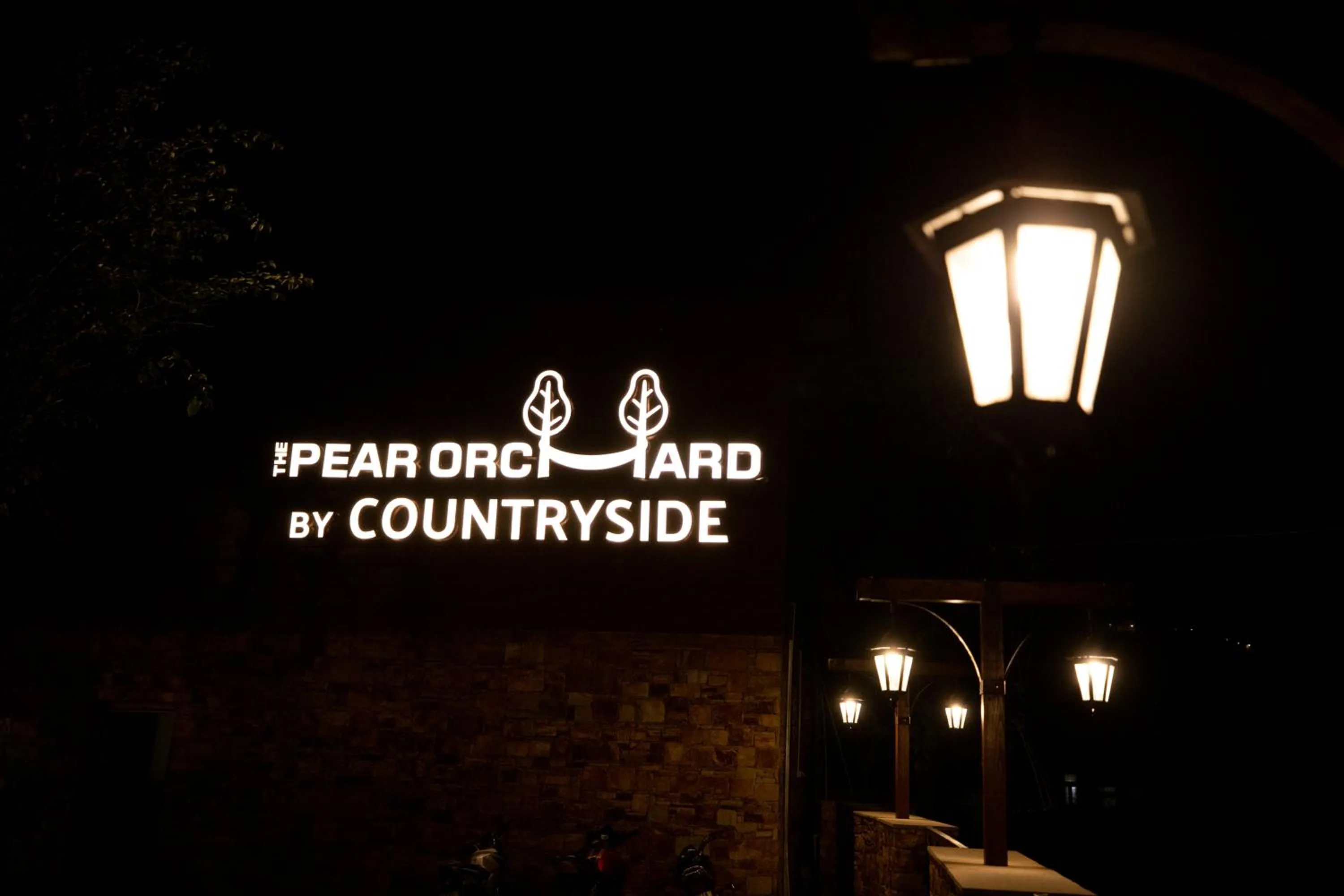 Night in The Pear Orchard By Countryside