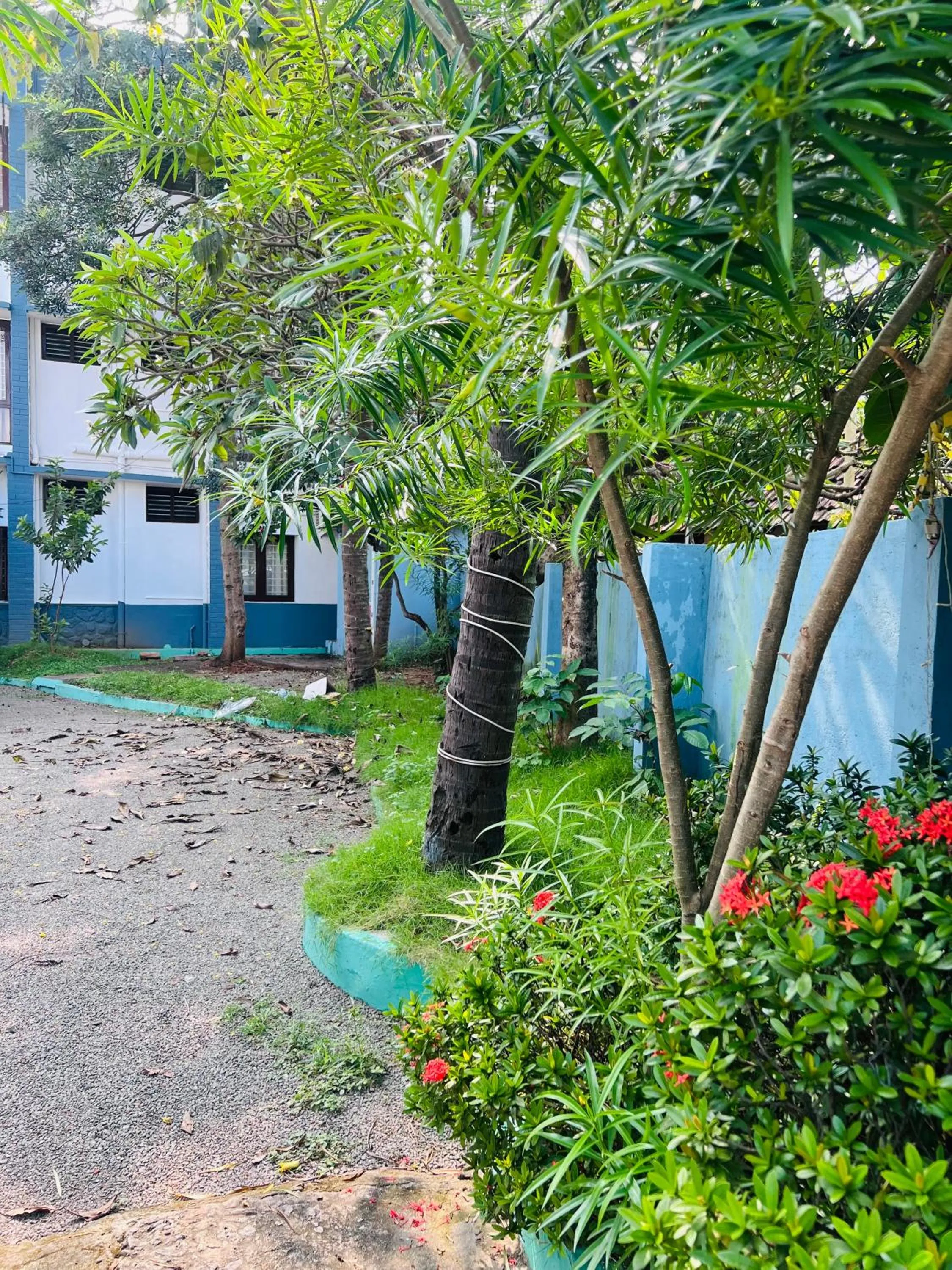 Garden view in Hotel Sunday - Townhouse Club Airport Trivandrum