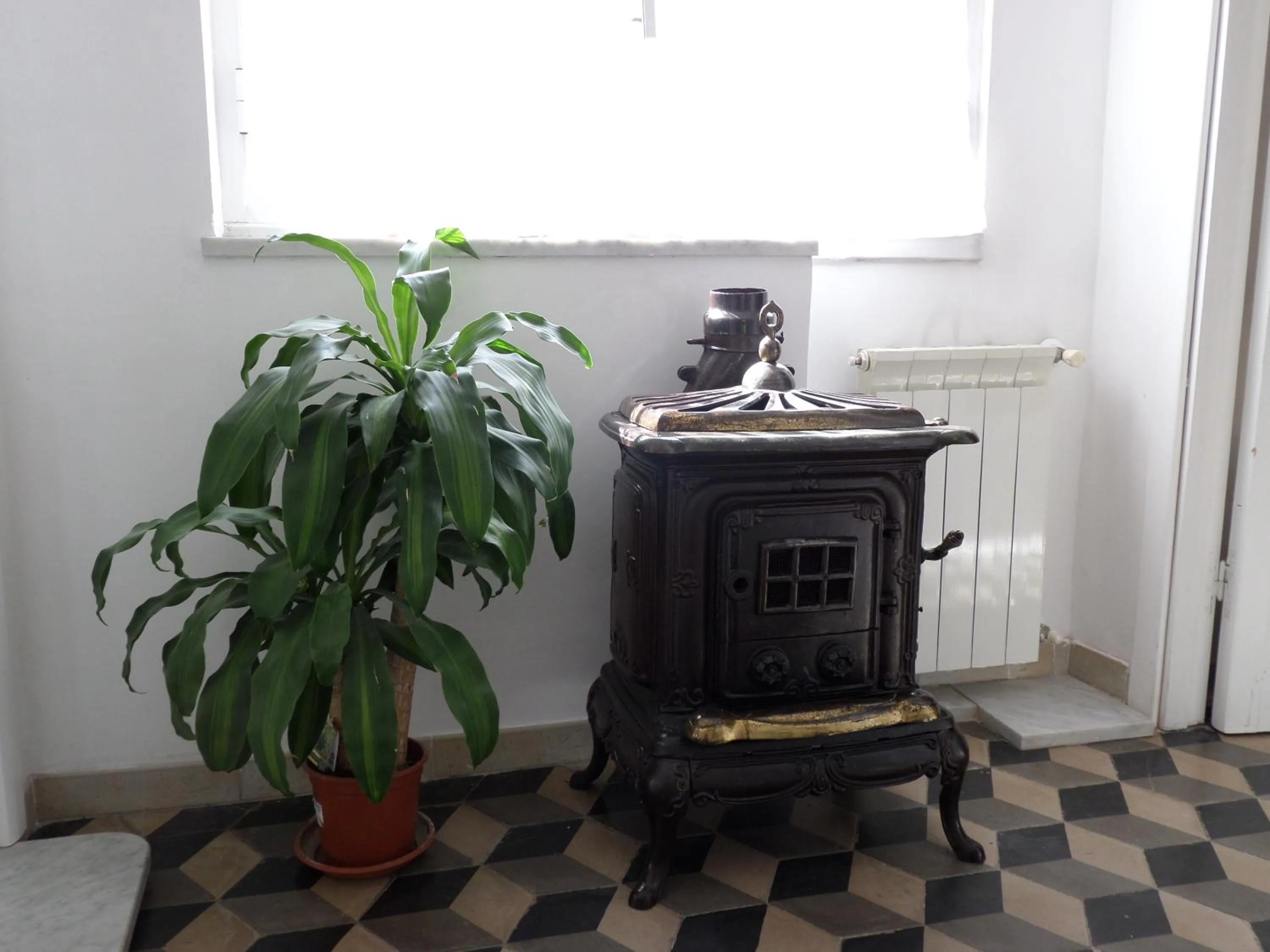 Decorative detail in I Colori di Mag