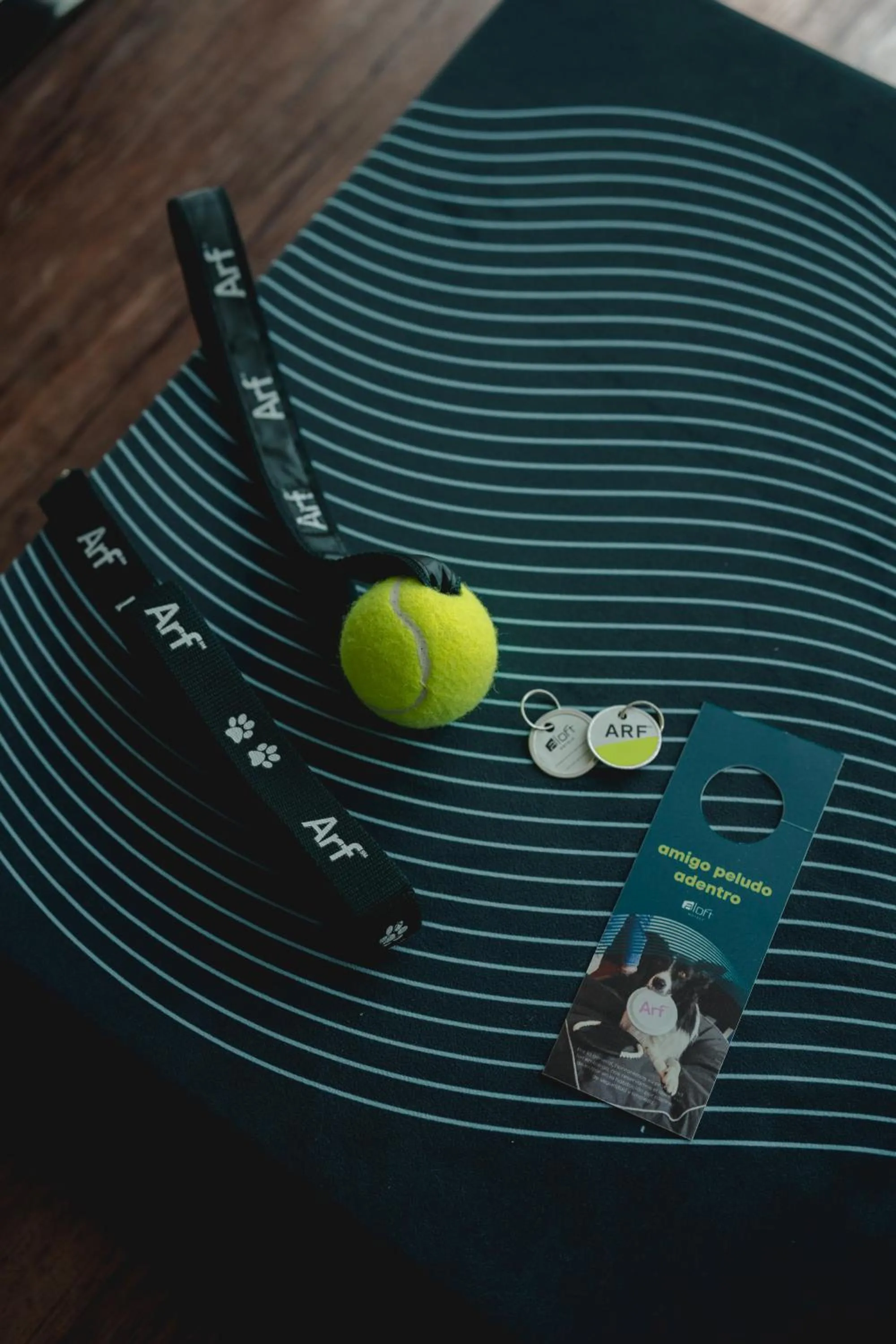 Pets in Aloft Guadalajara Sur