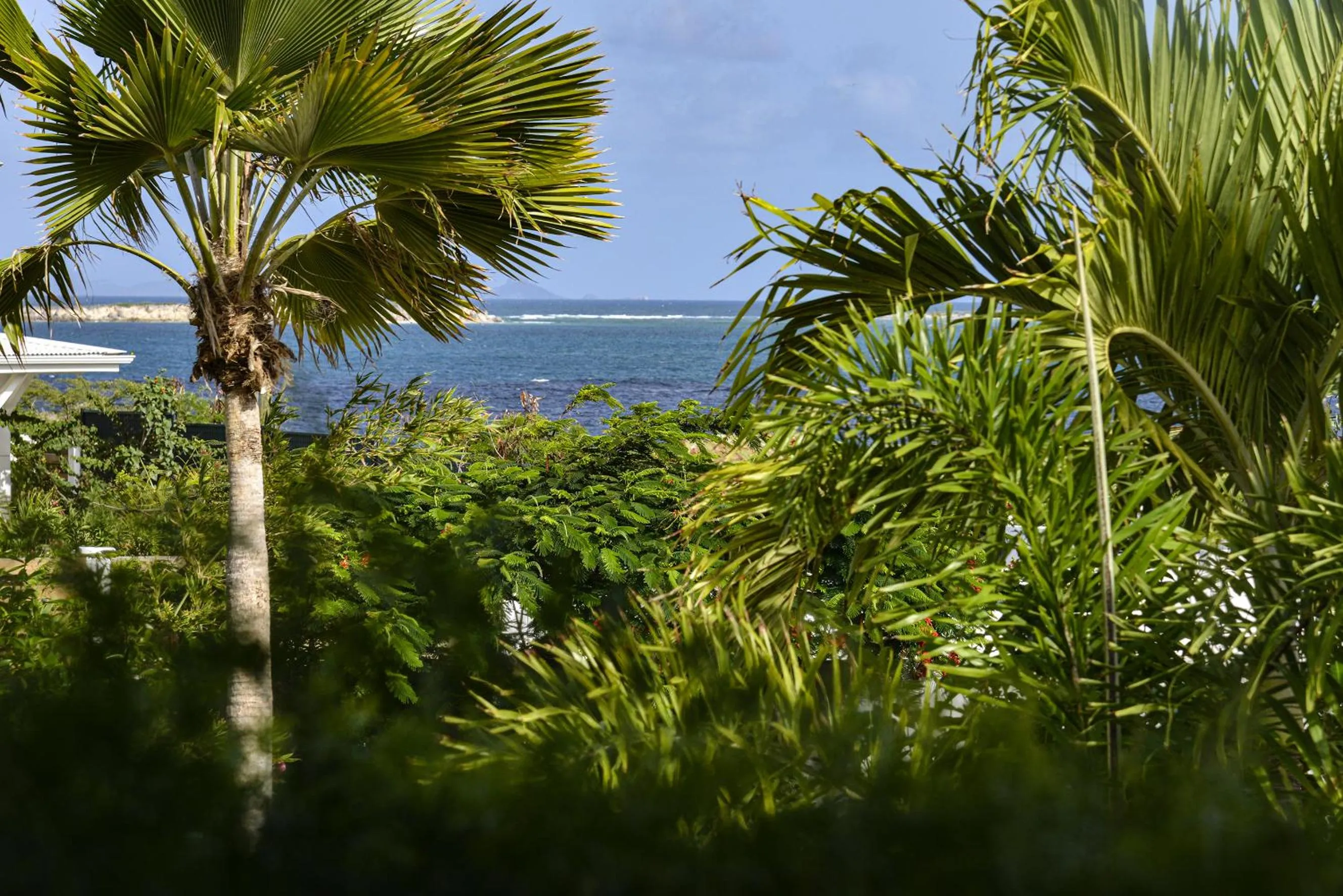 Natural landscape in Le Martin Boutique Hôtel