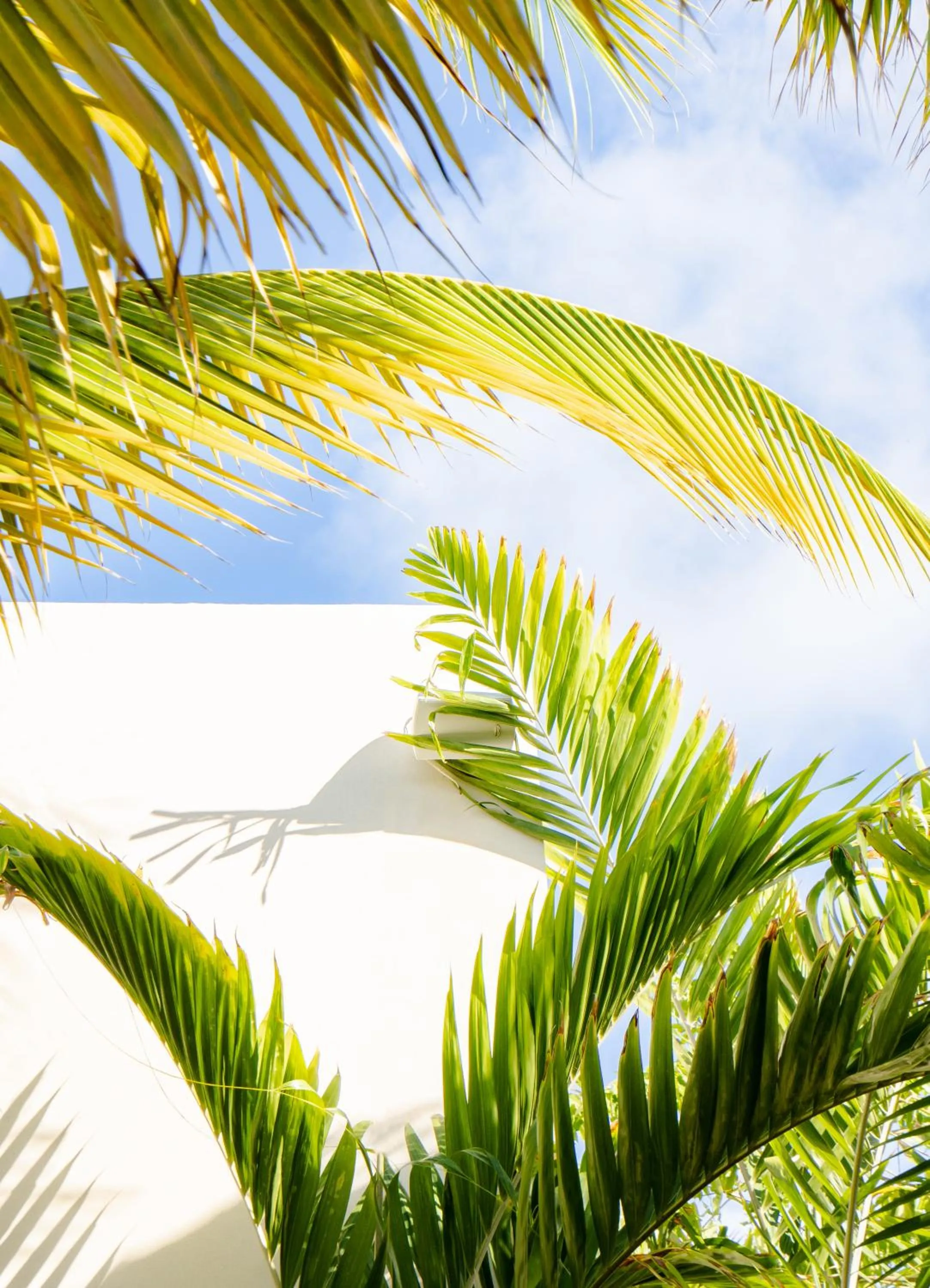 Day in Le Martin Boutique Hôtel