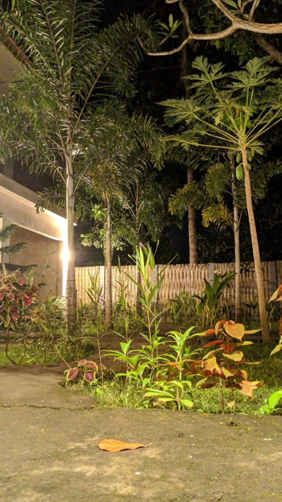 Garden in Follow Your Dreams Gili Air