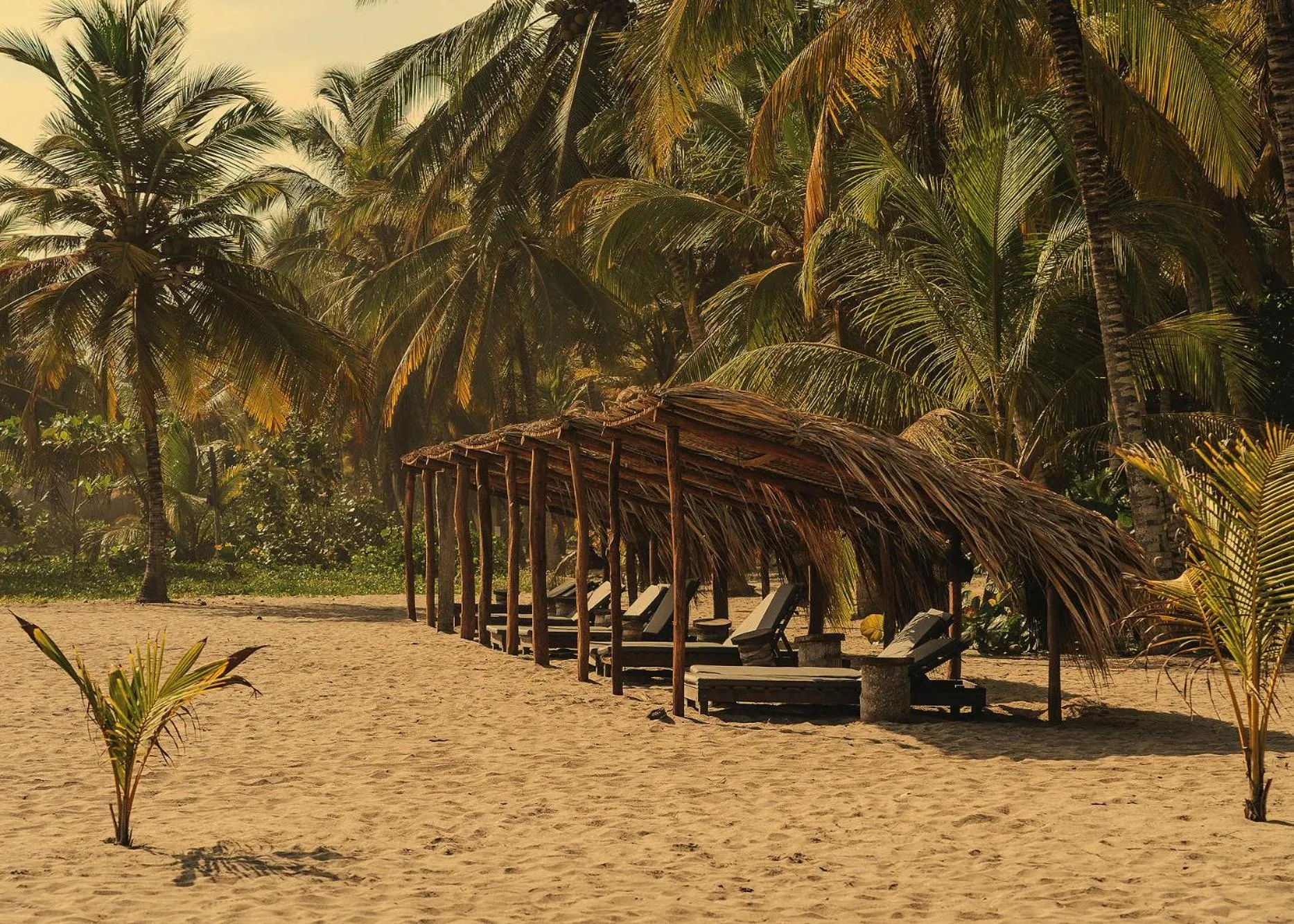 Beach in Santuario Playa Bonita