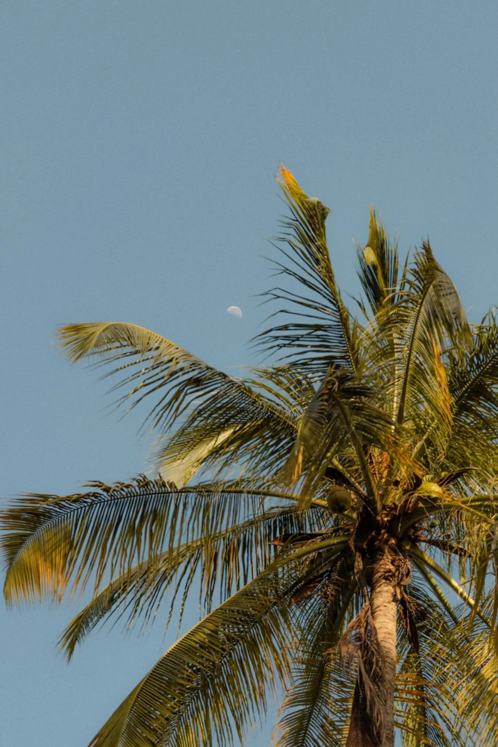 Natural landscape in Santuario Playa Bonita