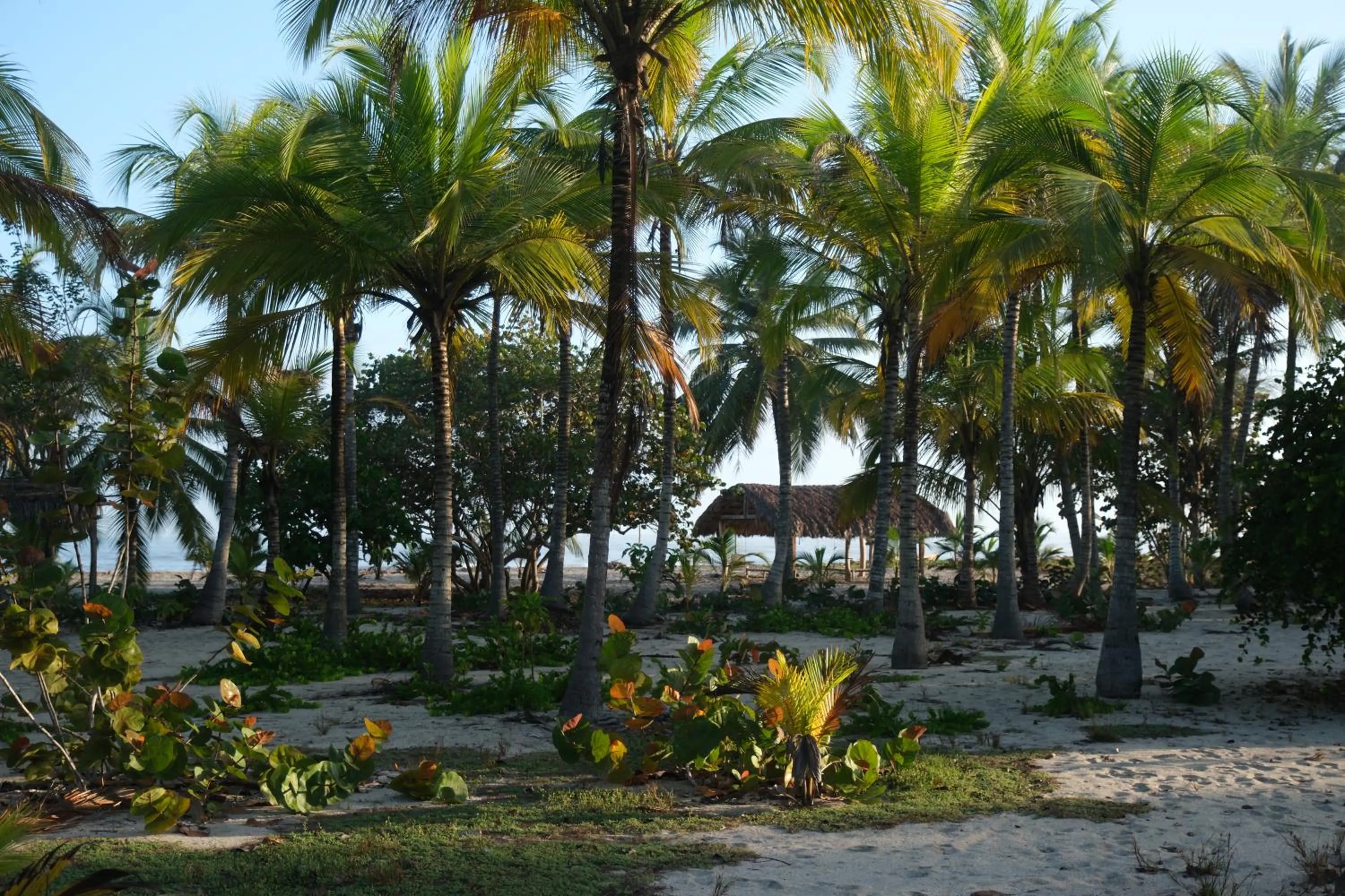 Off site in Santuario Playa Bonita