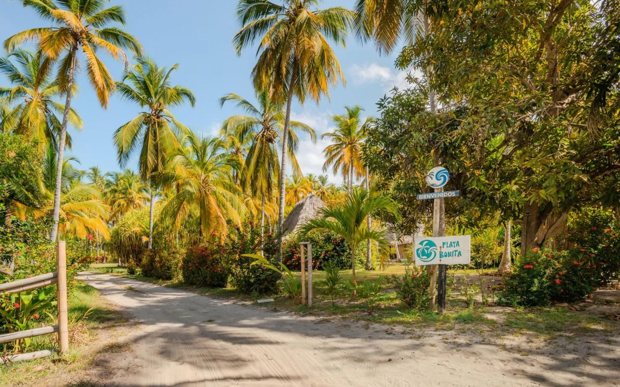 Natural landscape in Santuario Playa Bonita