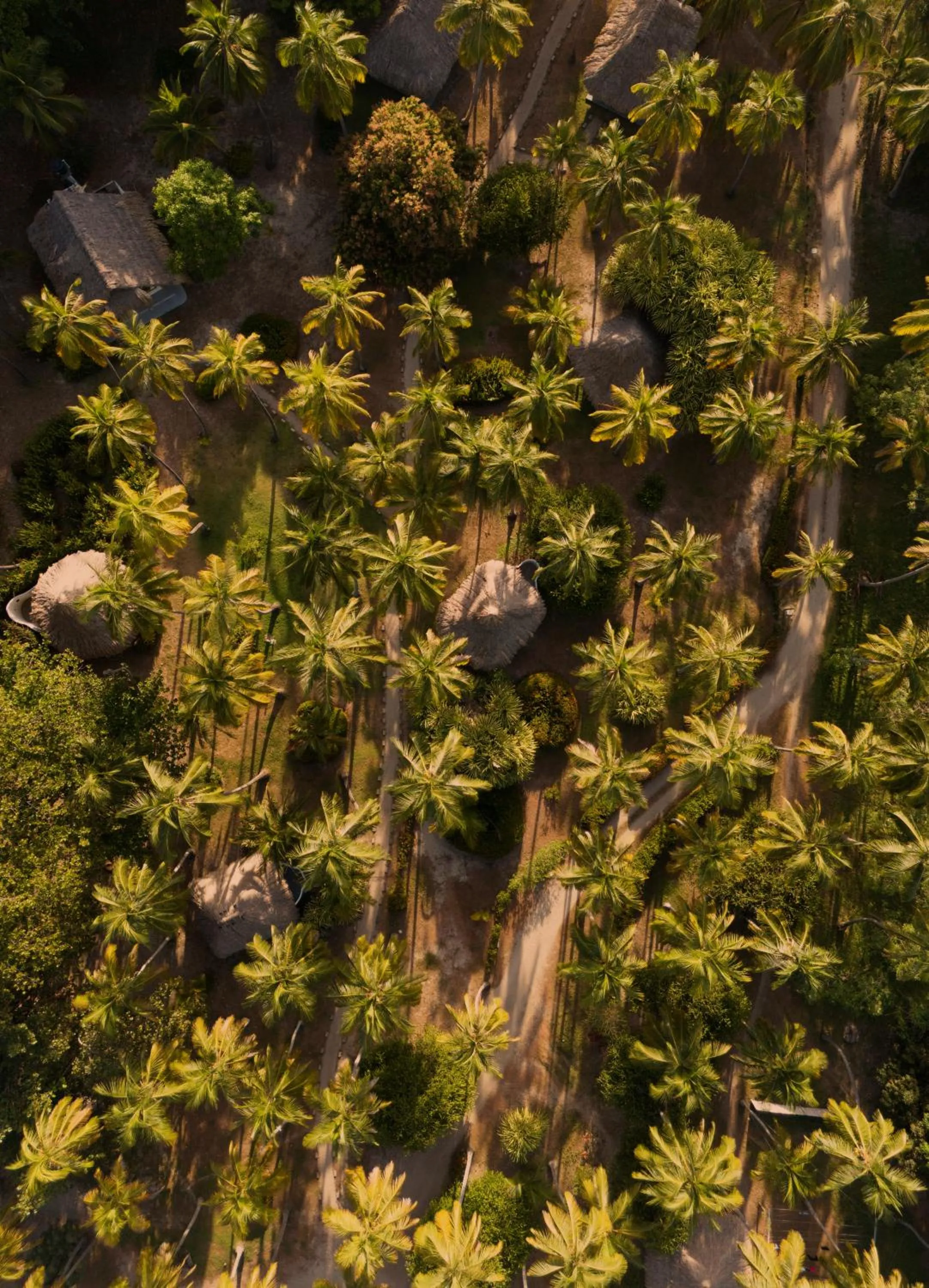 Bird's eye view in Santuario Playa Bonita
