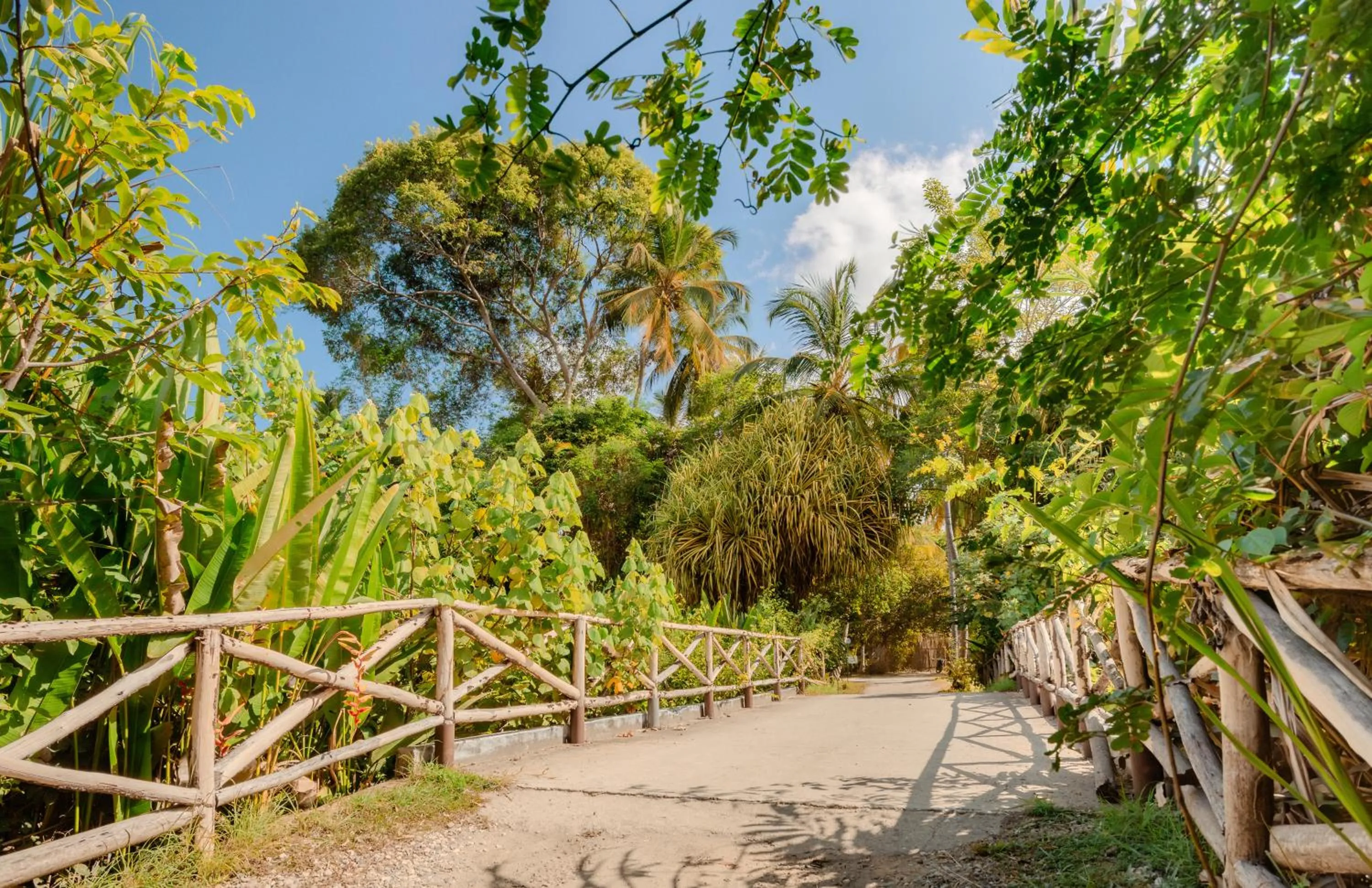 Day in Santuario Playa Bonita