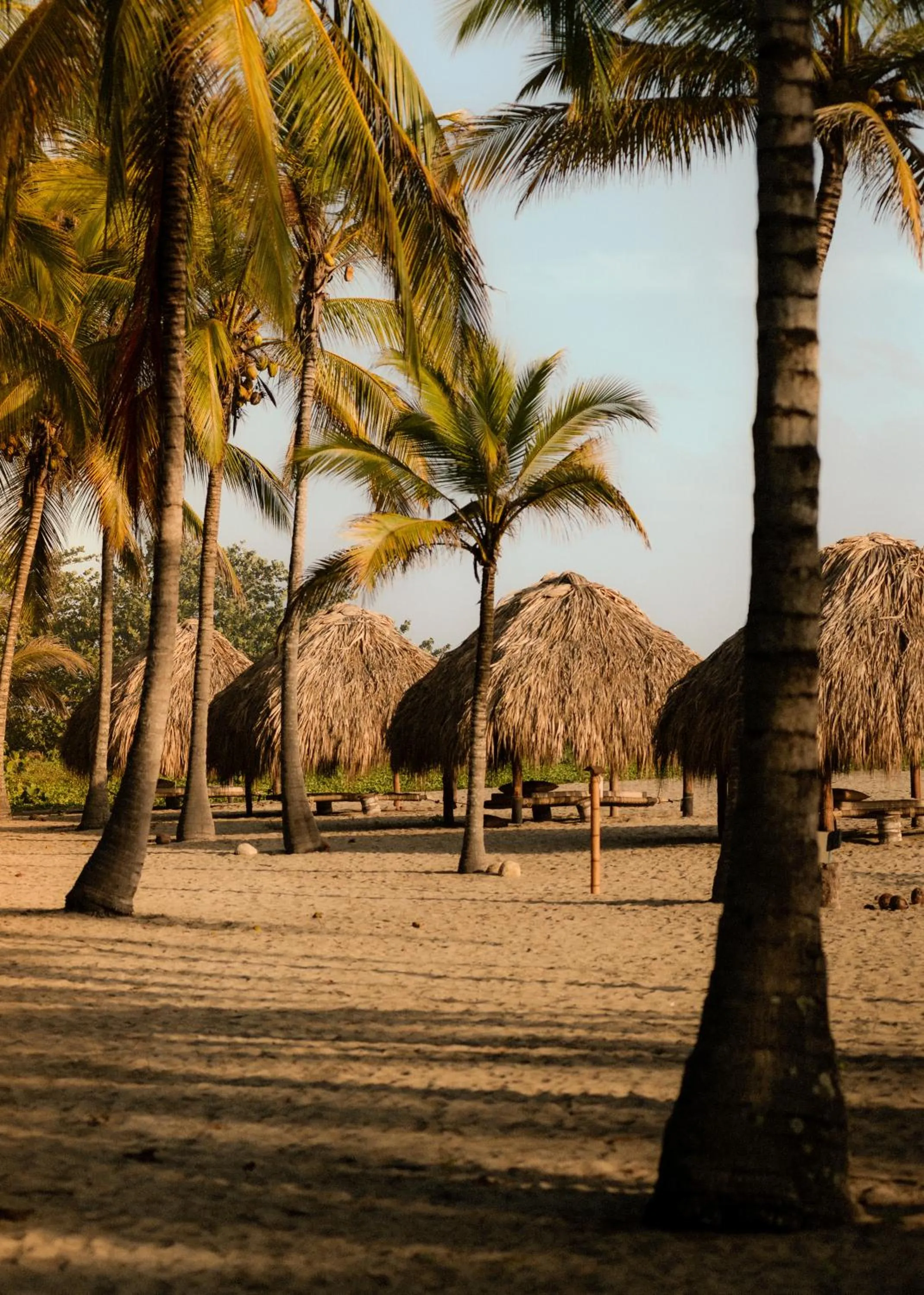Beach in Santuario Playa Bonita