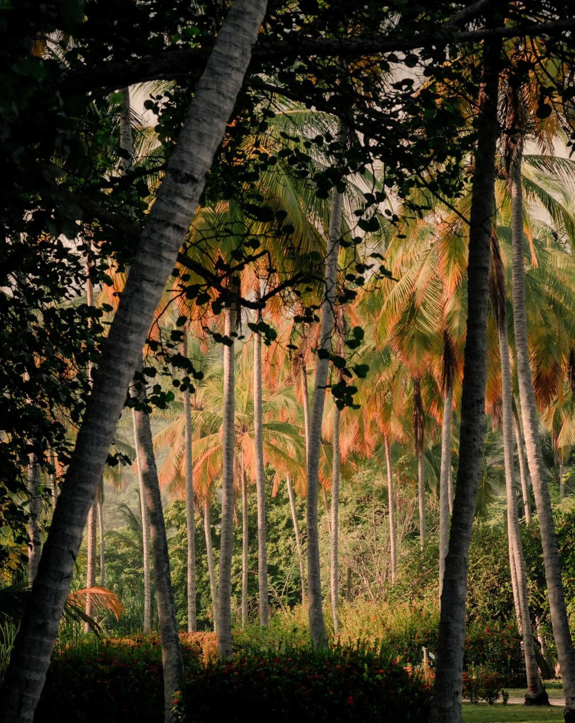 Natural landscape in Santuario Playa Bonita