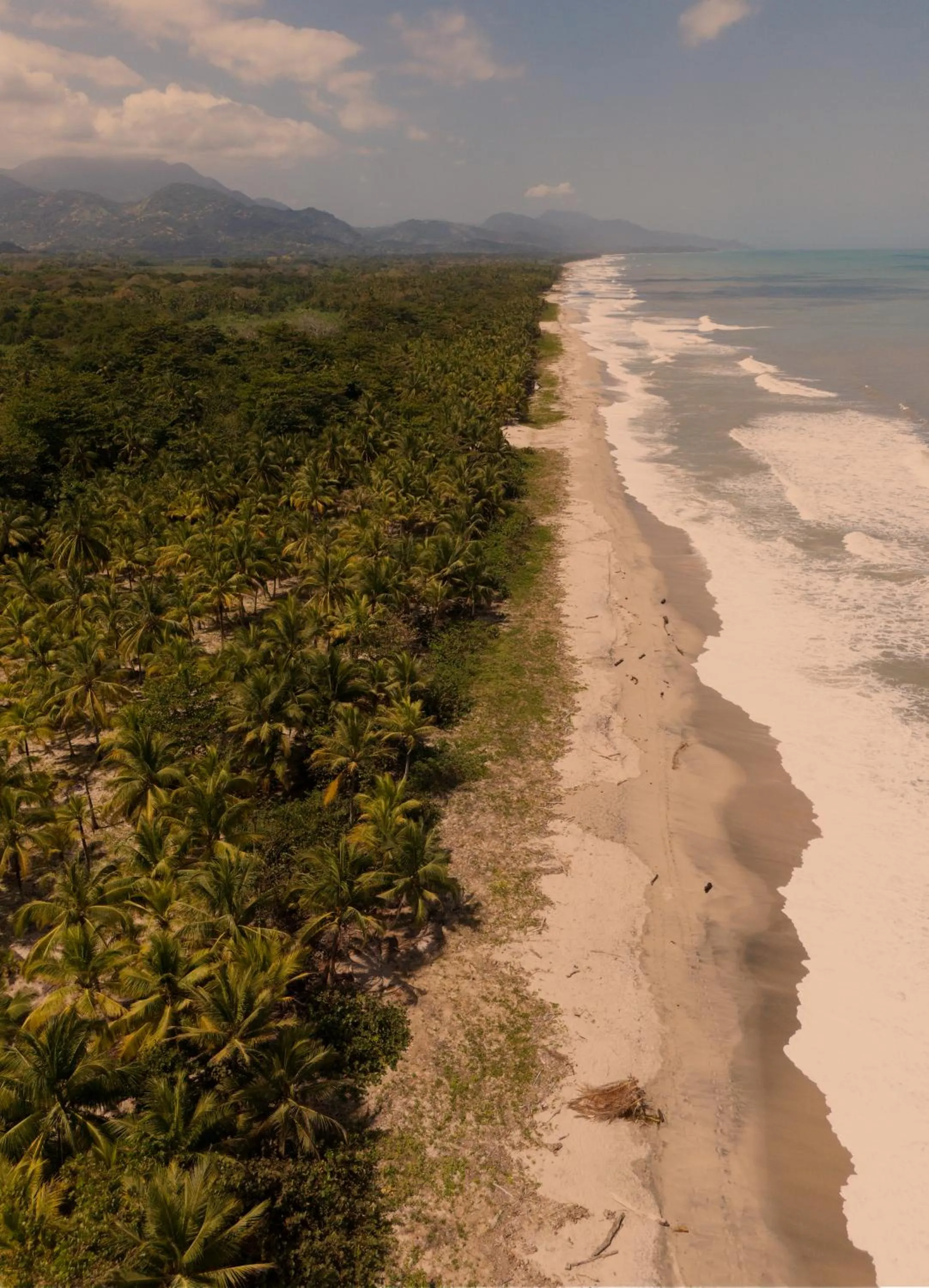 Beach in Santuario Playa Bonita