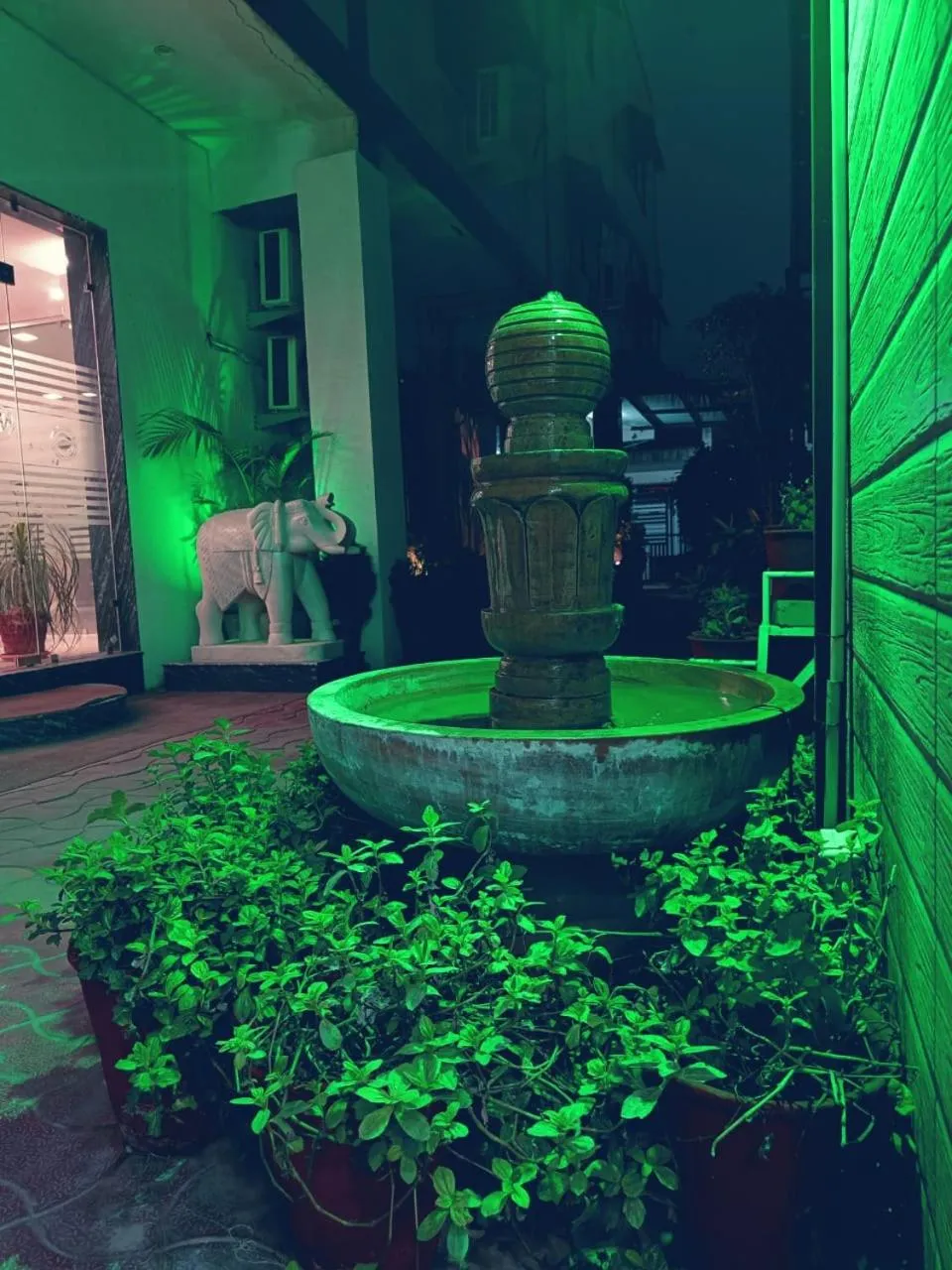 Night in Green Club Farm