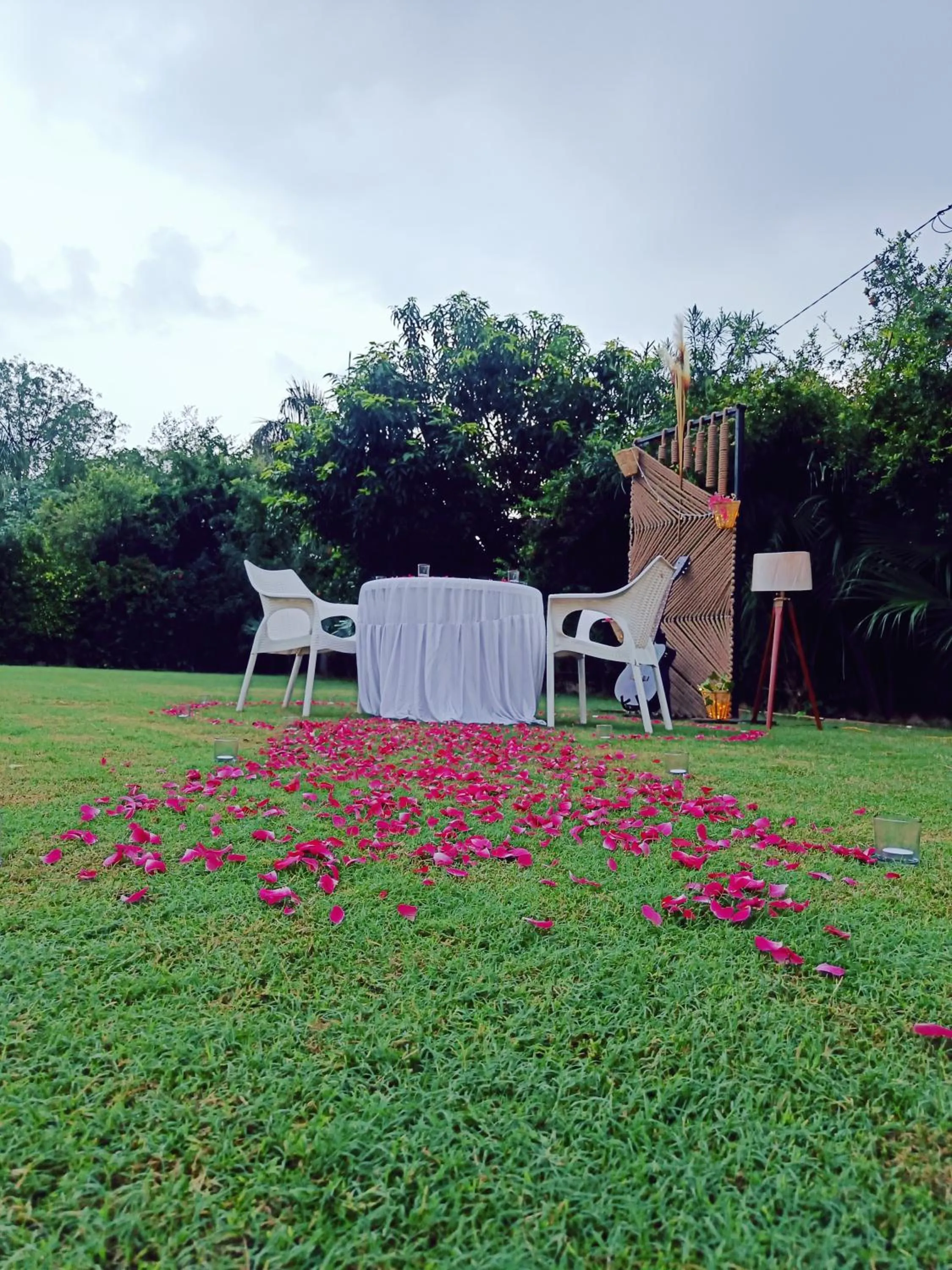 Dinner in Green Club Farm