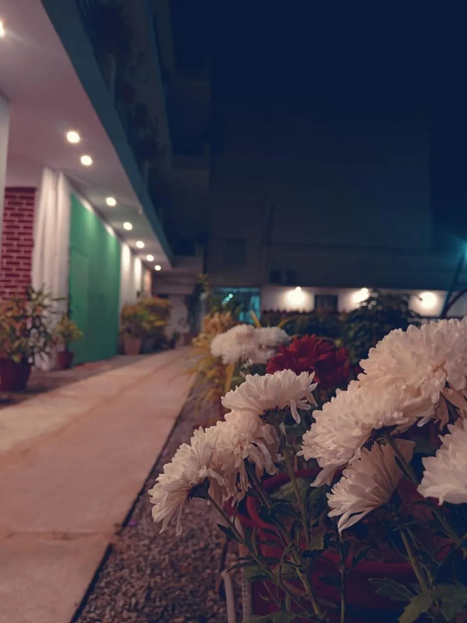 Property building in Green Club Farm