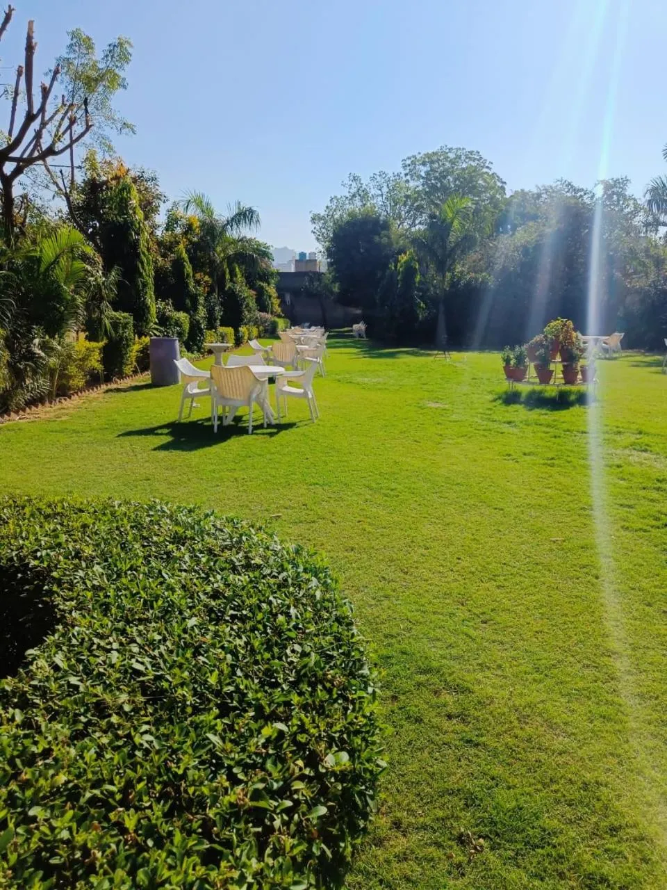 Day in Green Club Farm