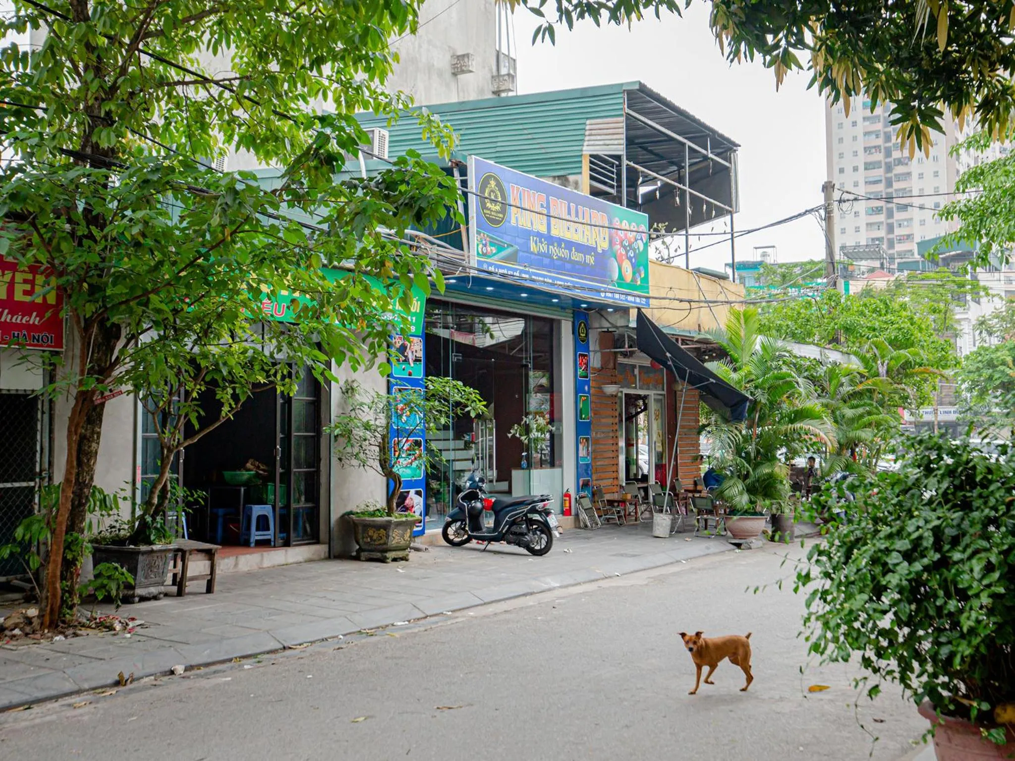 Entertainment in Phuong Nam Luxury Hotel Long Bien