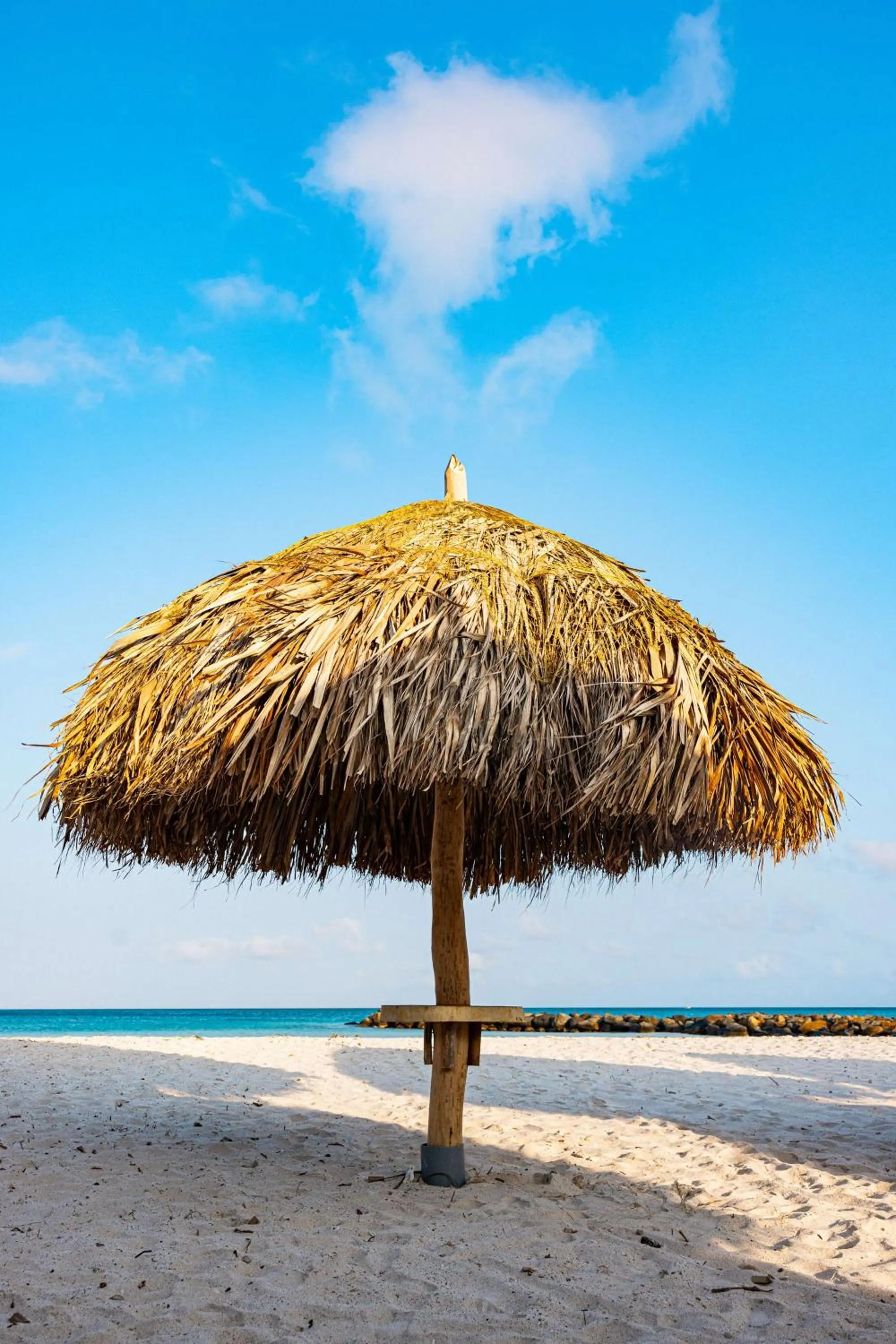 Property building in Embassy Suites By Hilton Aruba Beach Resort