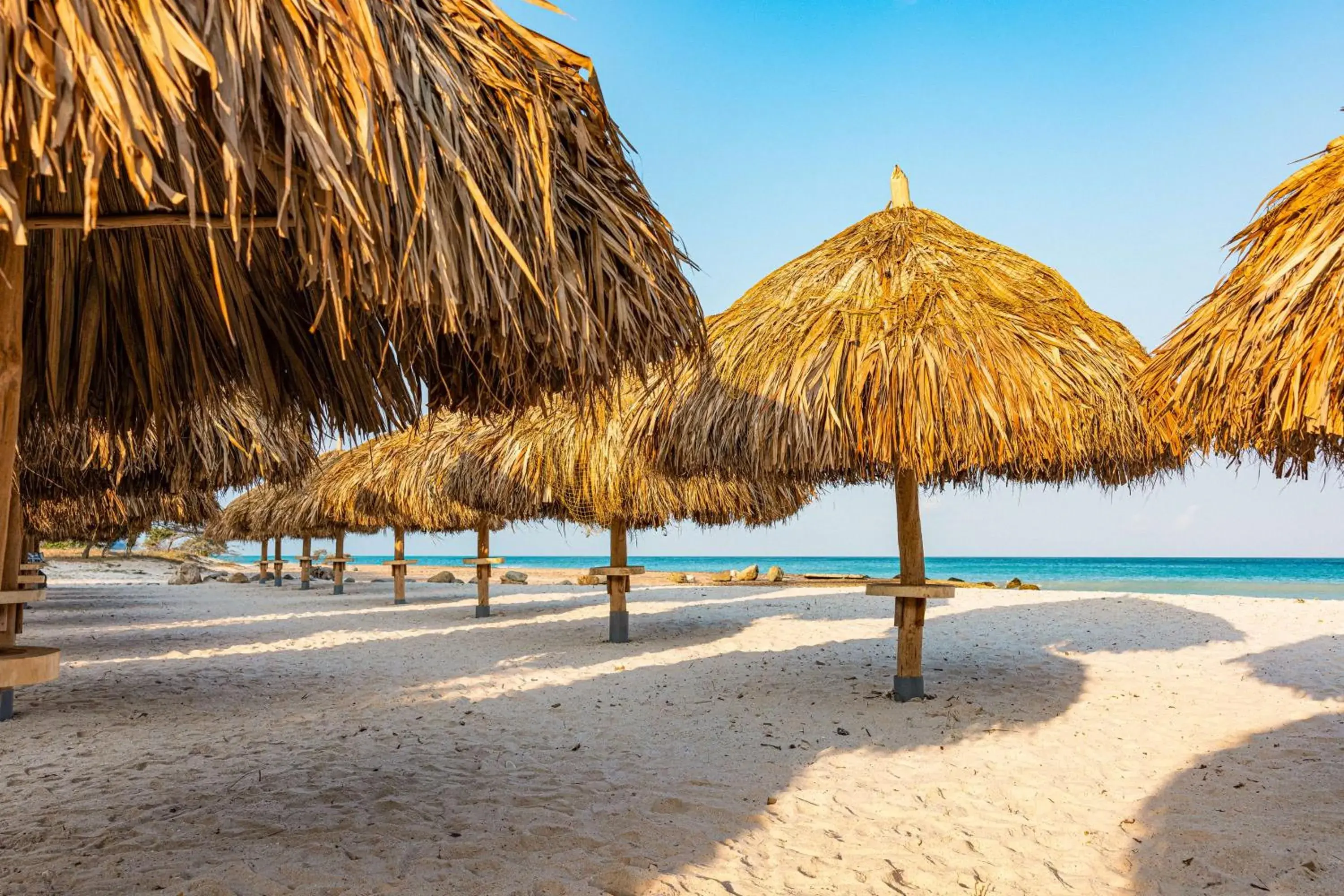 Property building in Embassy Suites By Hilton Aruba Beach Resort Property building in Embassy Suites By Hilton Aruba Beach Resort