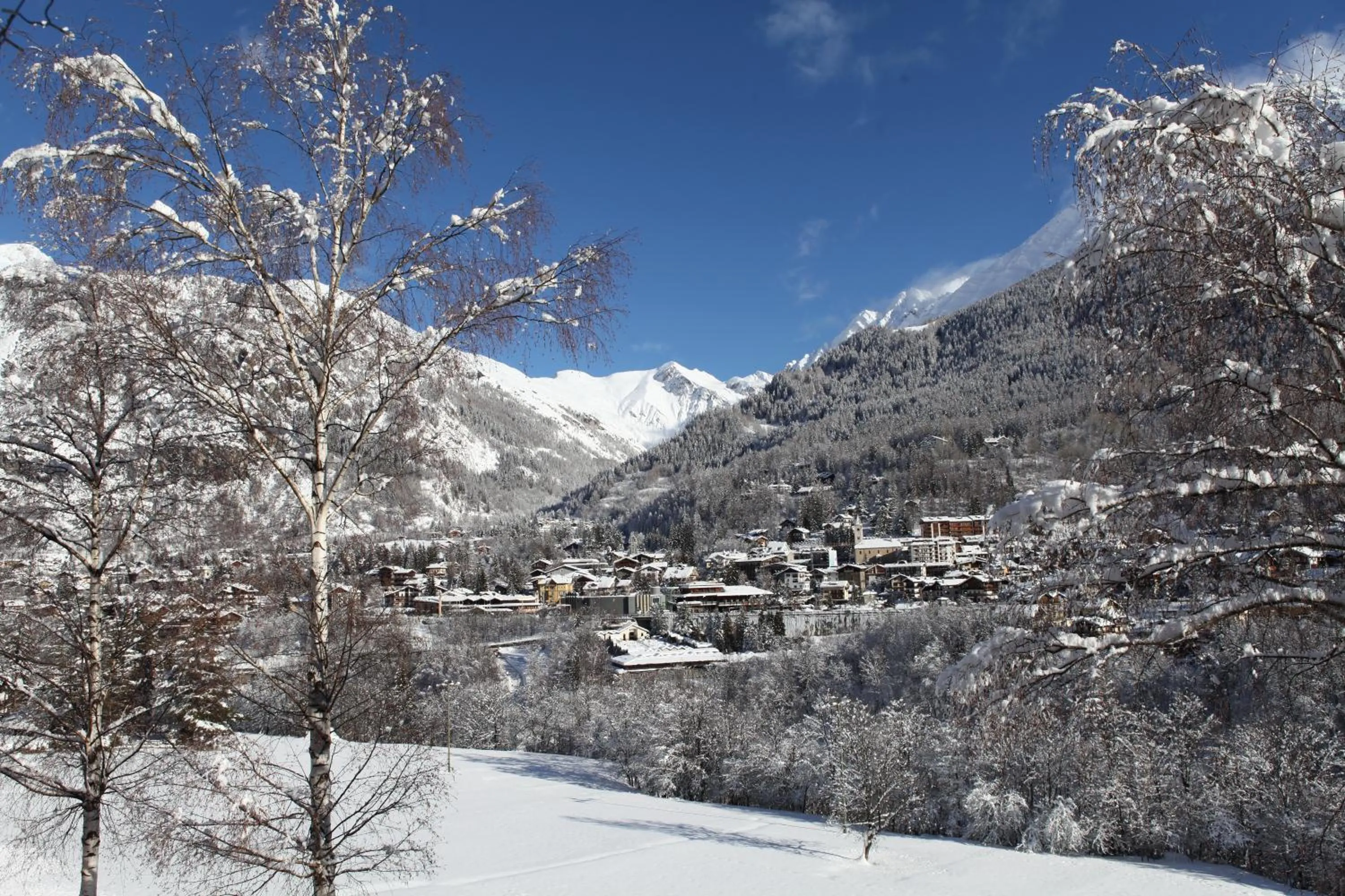 Area and facilities in Hotel Stella Del Nord