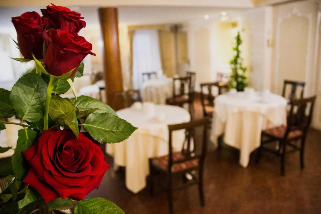 Restaurant/places to eat in Hotel San Giorgio