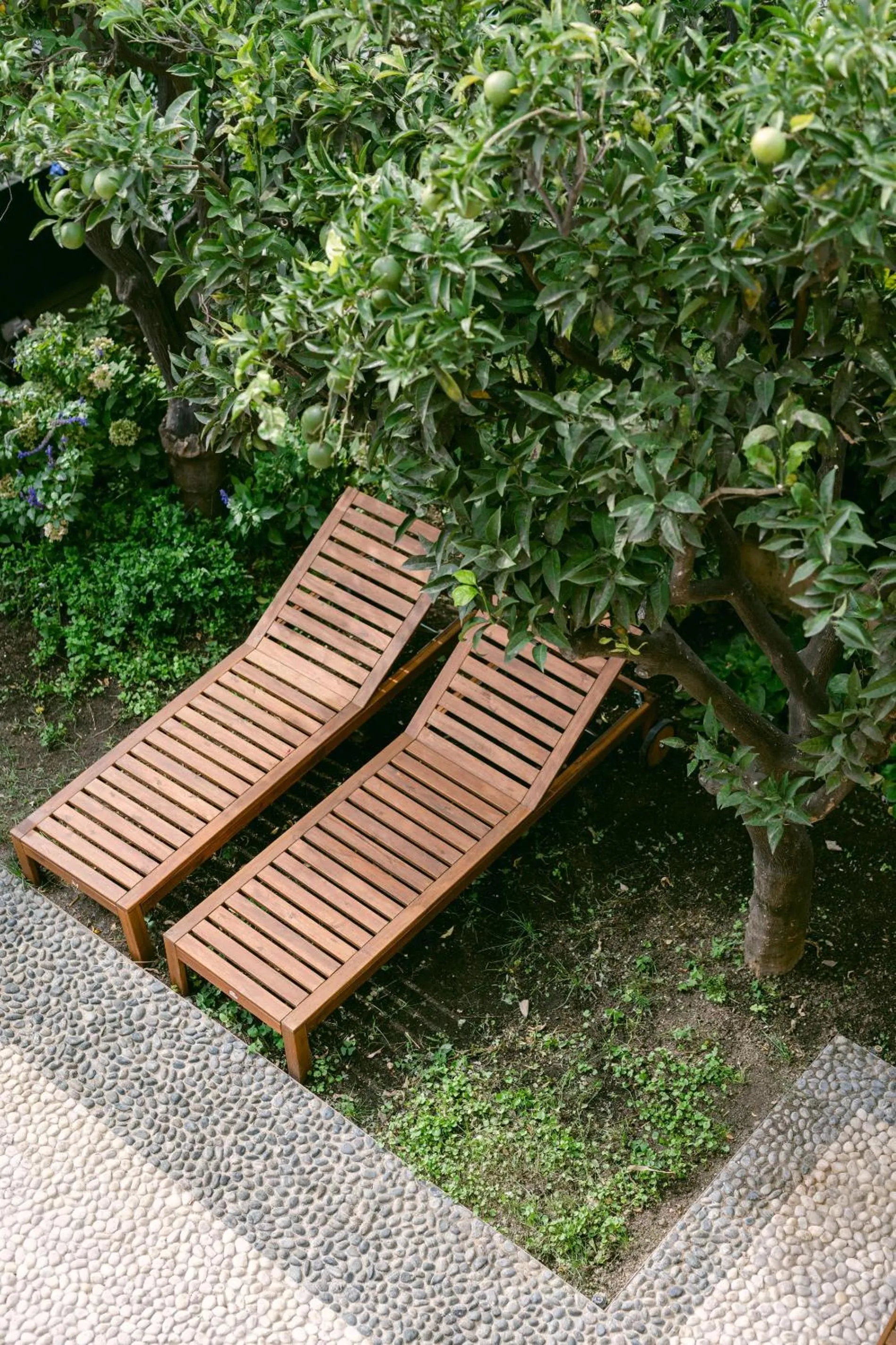Garden in Ca' de Ma