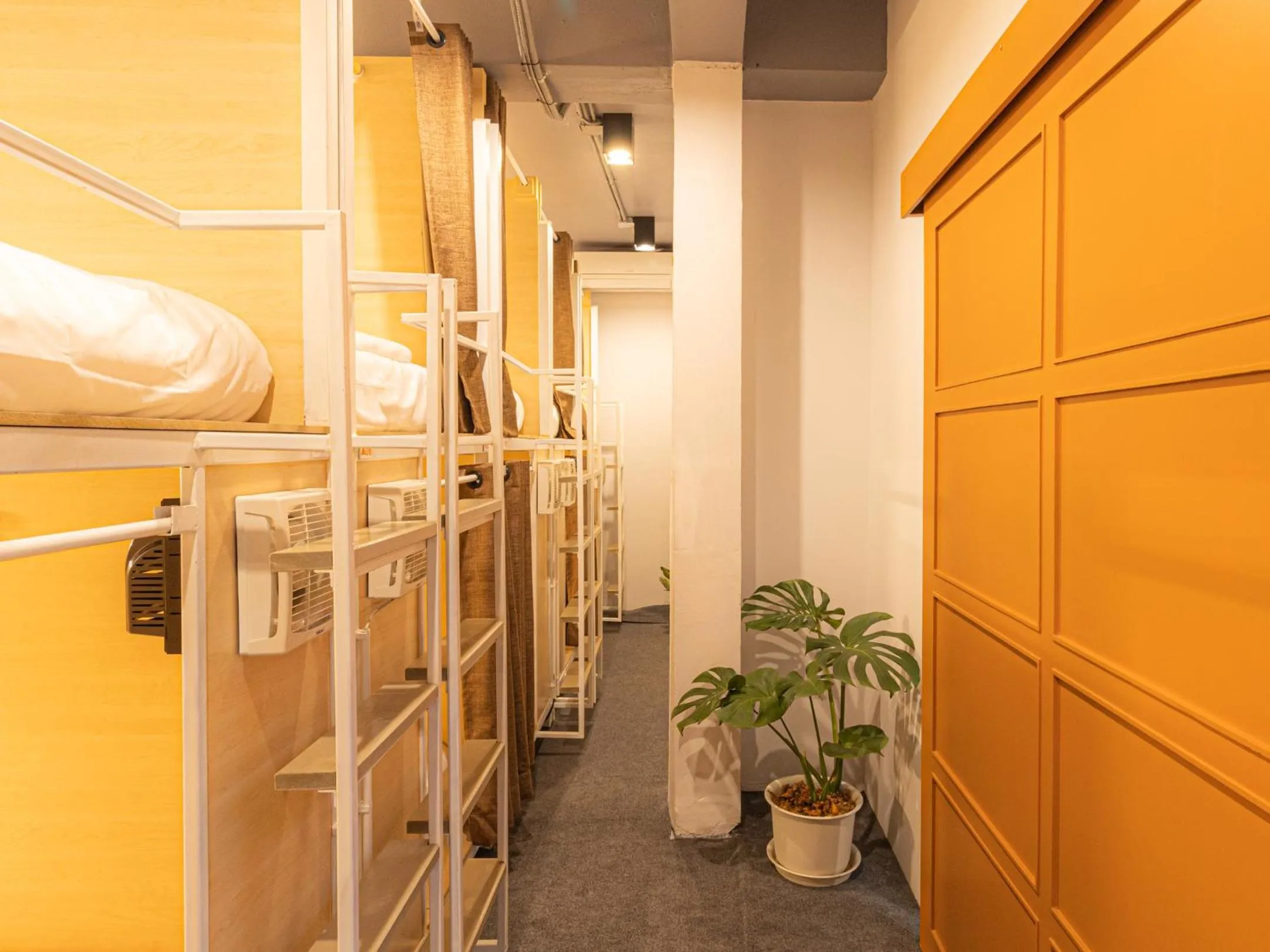 Photo of the whole room in Khao San Social Capsule Hostel