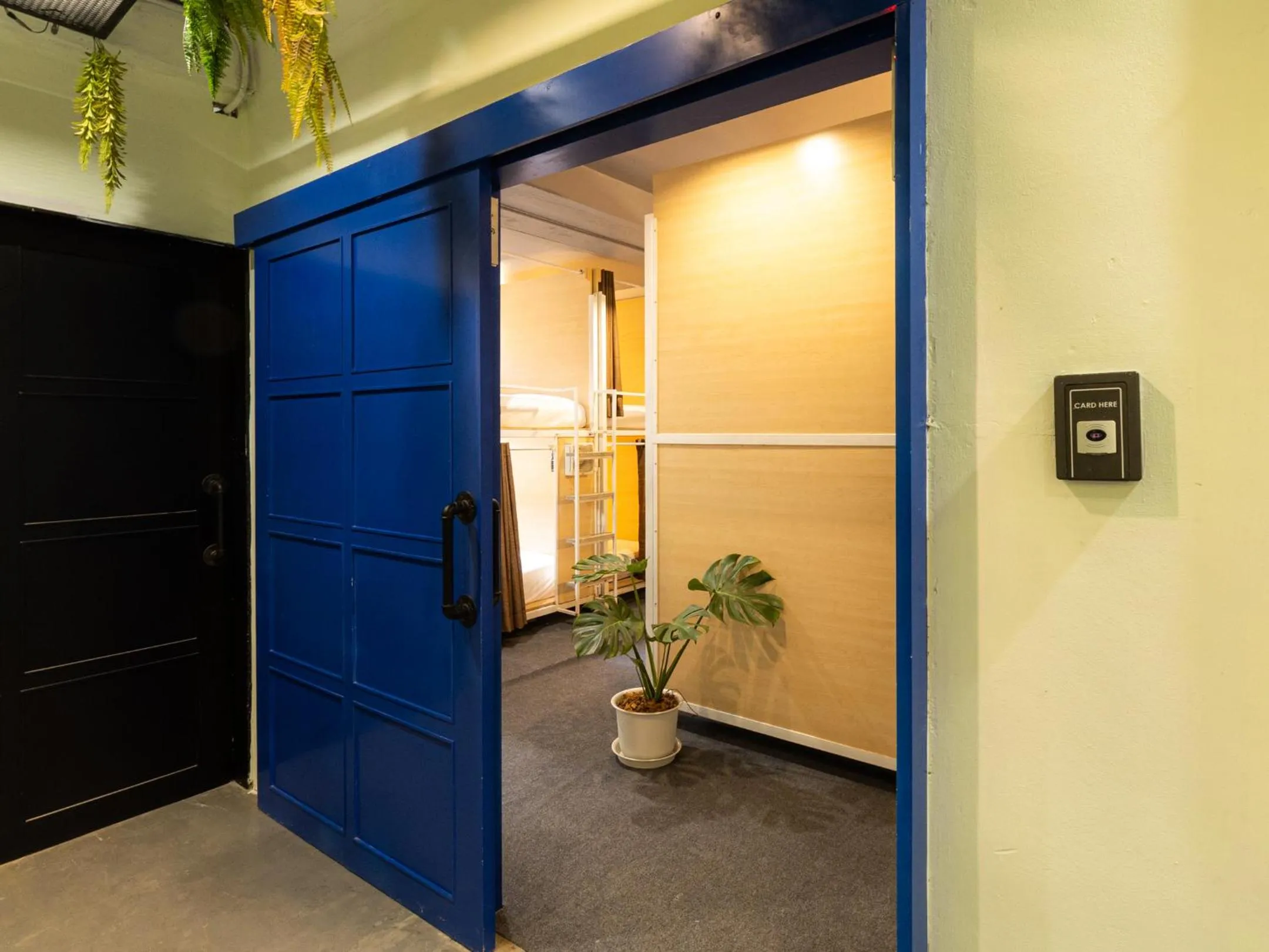 Bedroom in Khao San Social Capsule Hostel