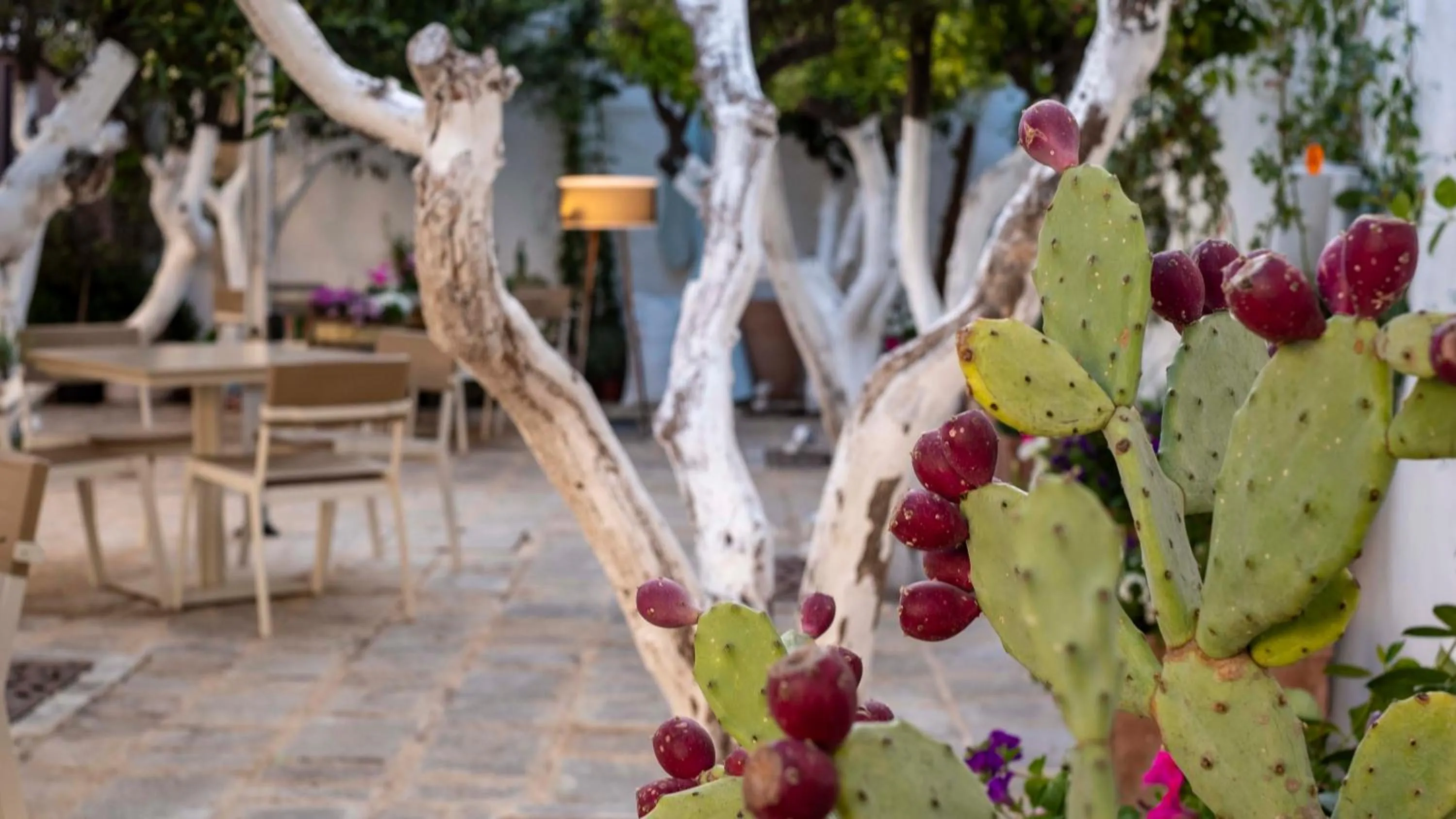 Patio in La Sommità Relais & Chateaux