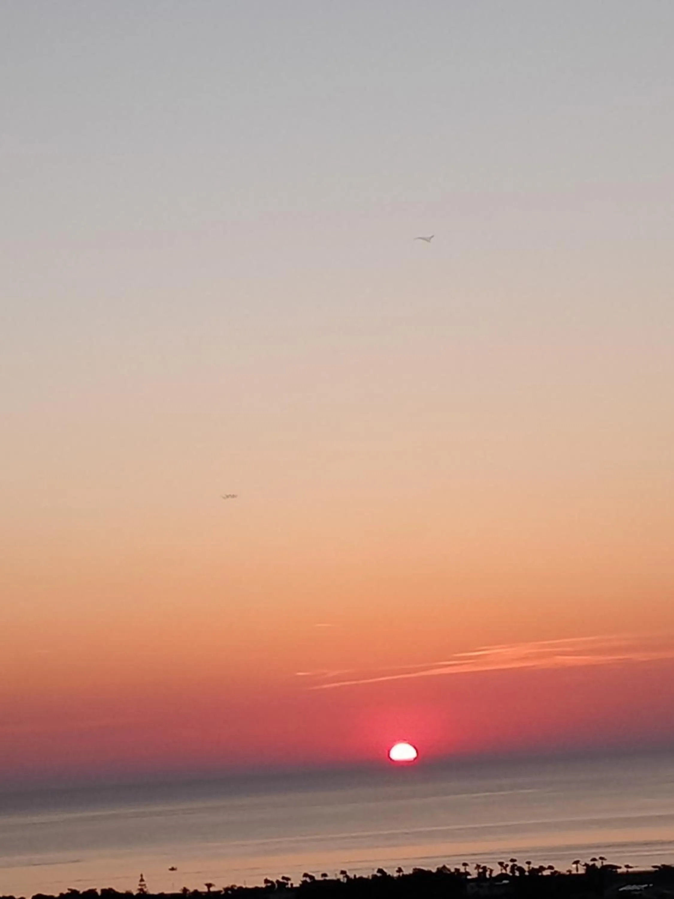 Sunrise in Residenza Collina Dei Pini