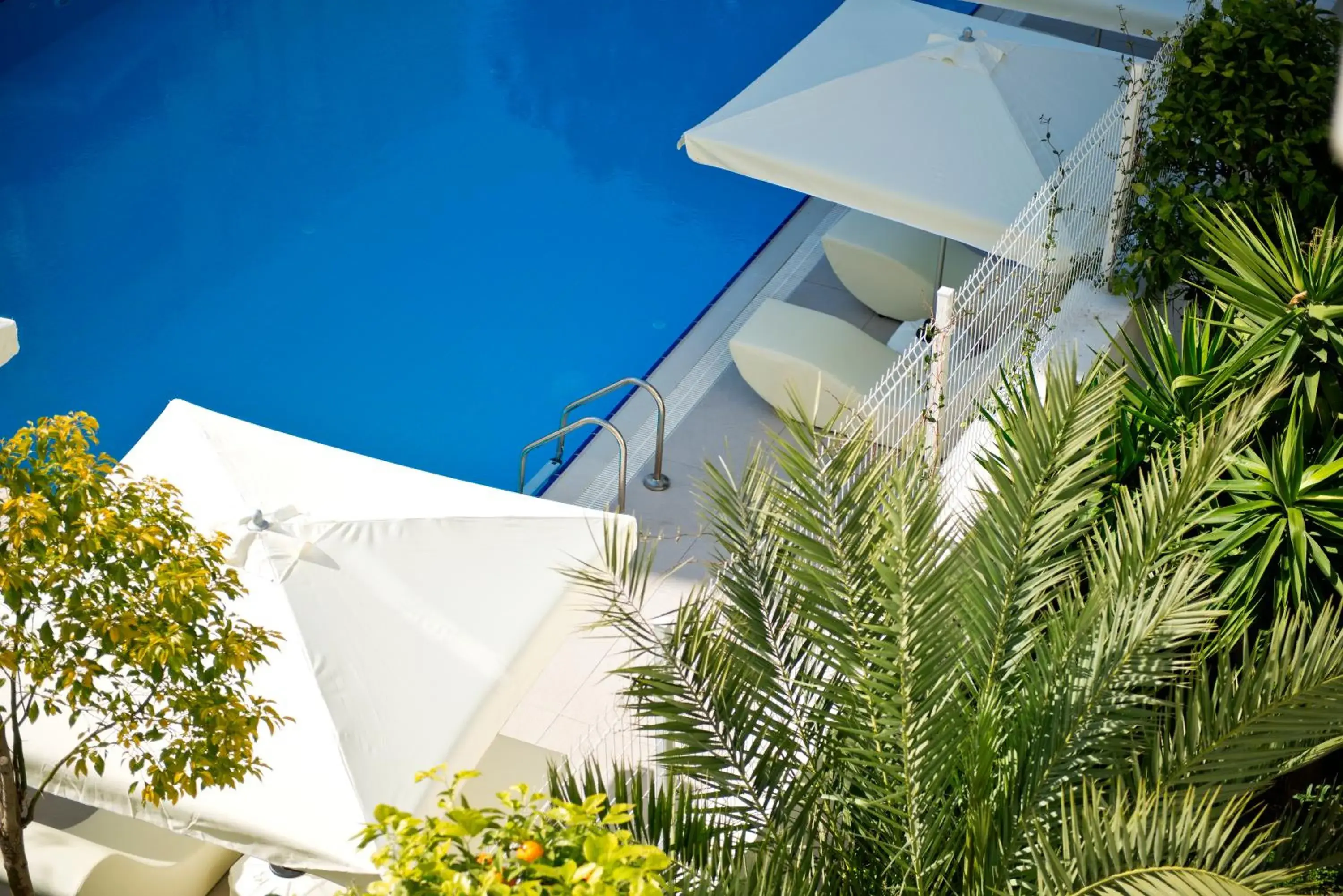 Swimming pool in Prime Boutique Hotel Swimming pool in Prime Boutique Hotel