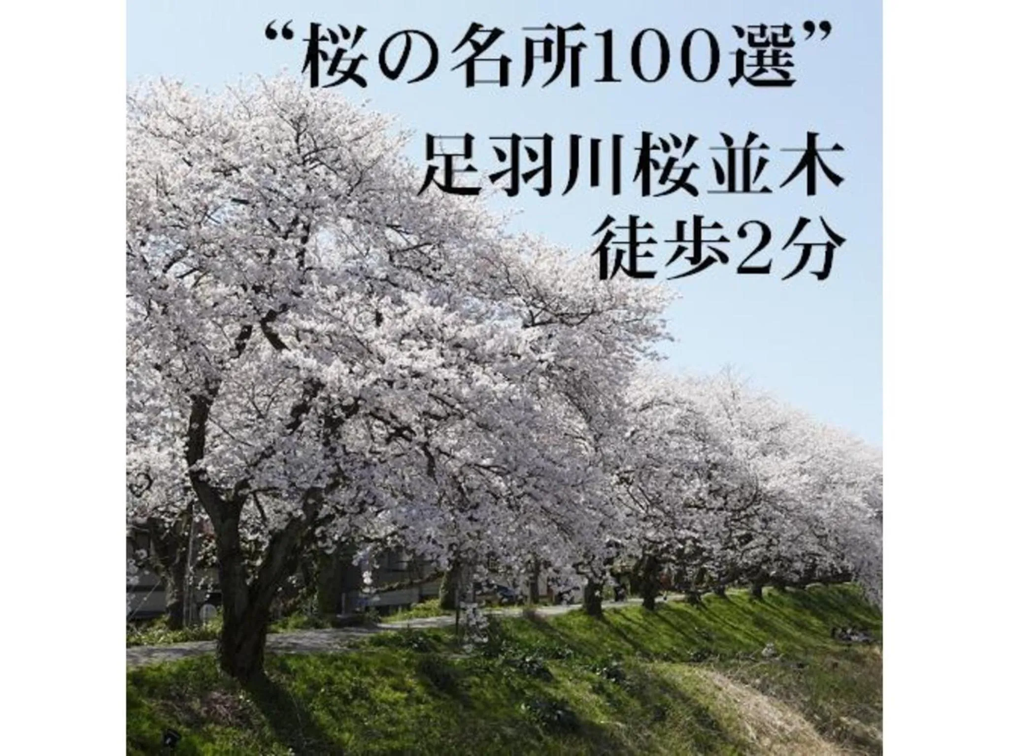 Az Inn Fukui - Vacation STAY 65924v