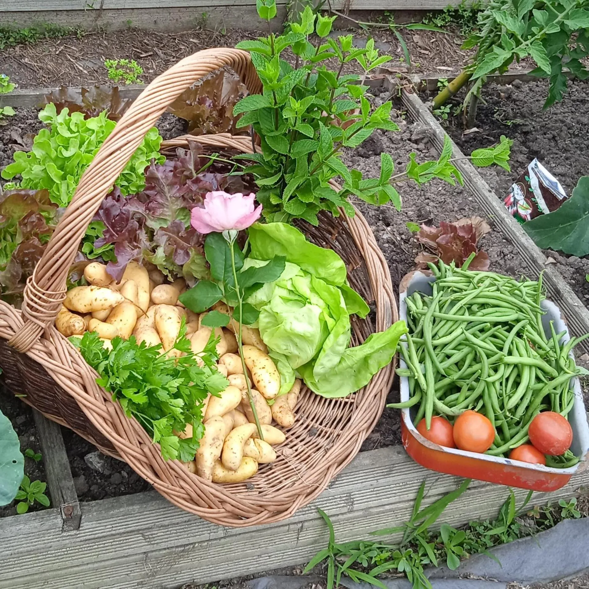 Food in La Girondine