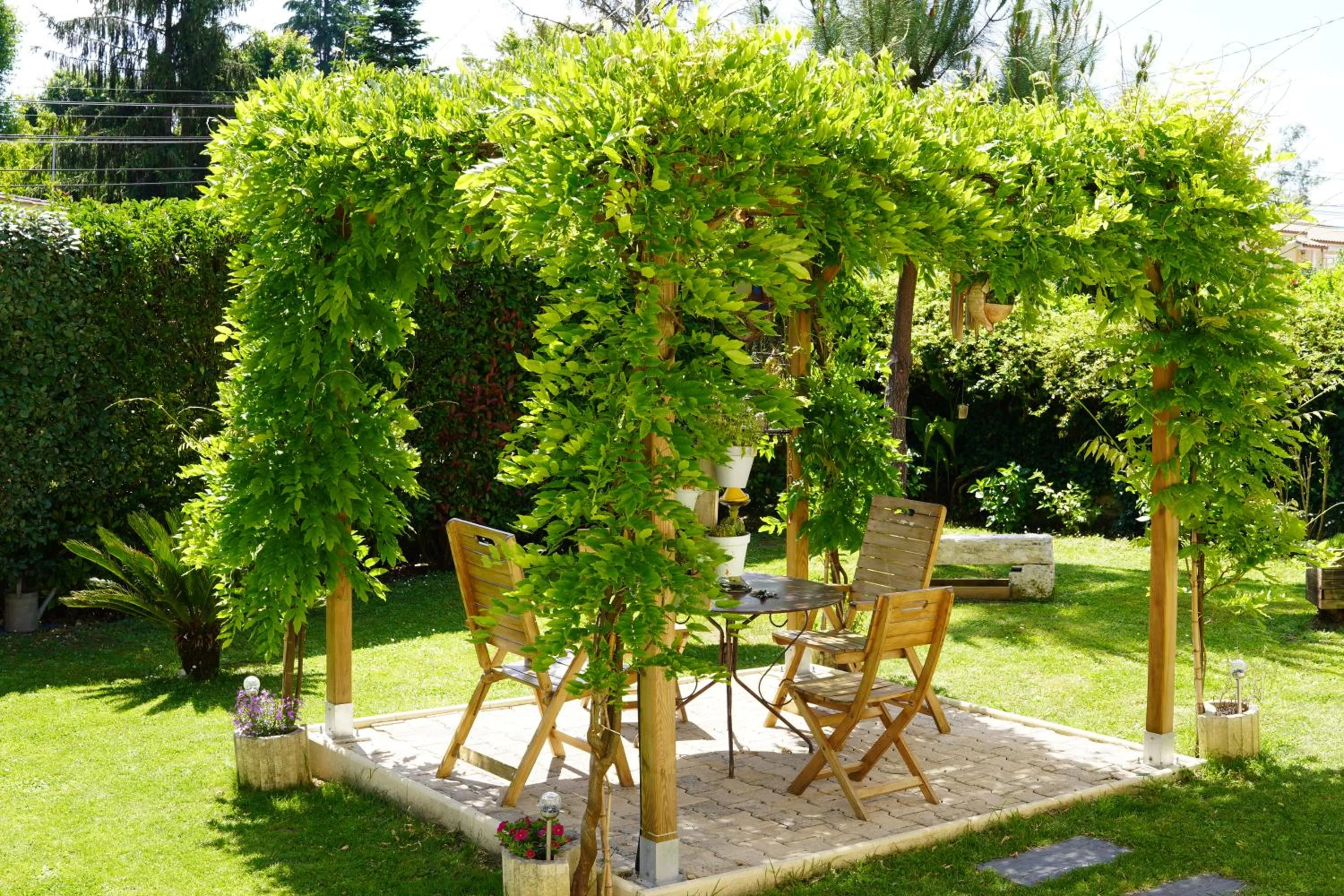 Garden in La Girondine