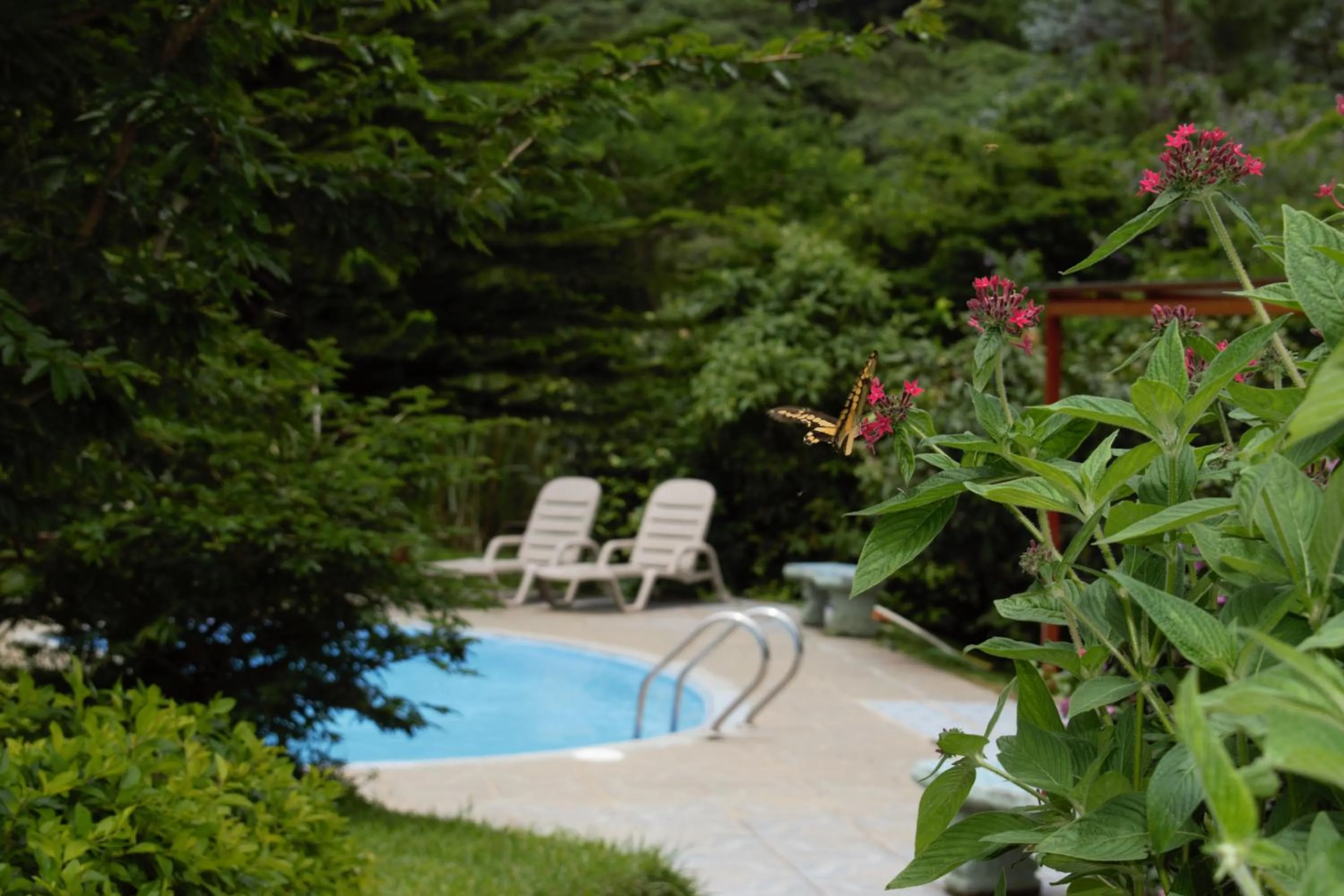 Pool view in Cabañas La Pradera