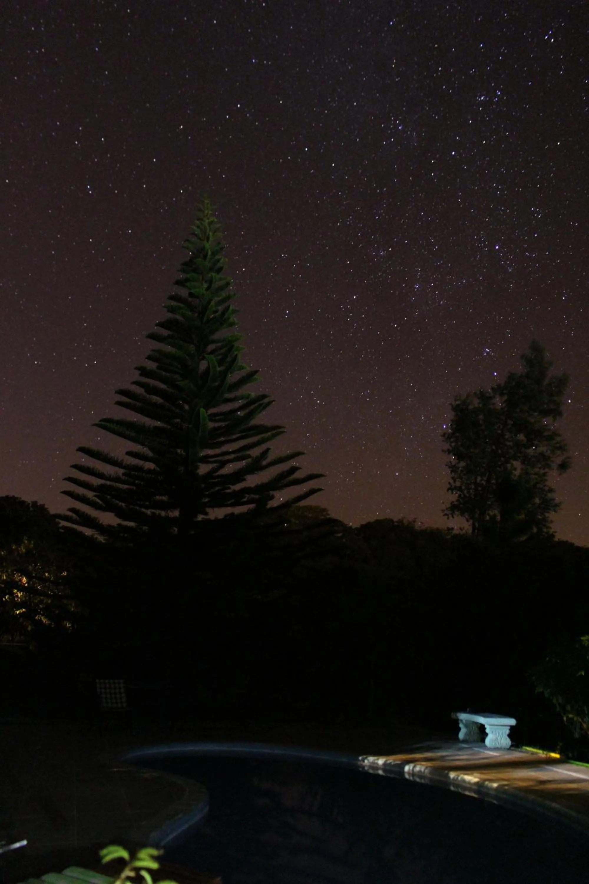 Natural landscape in Cabañas La Pradera