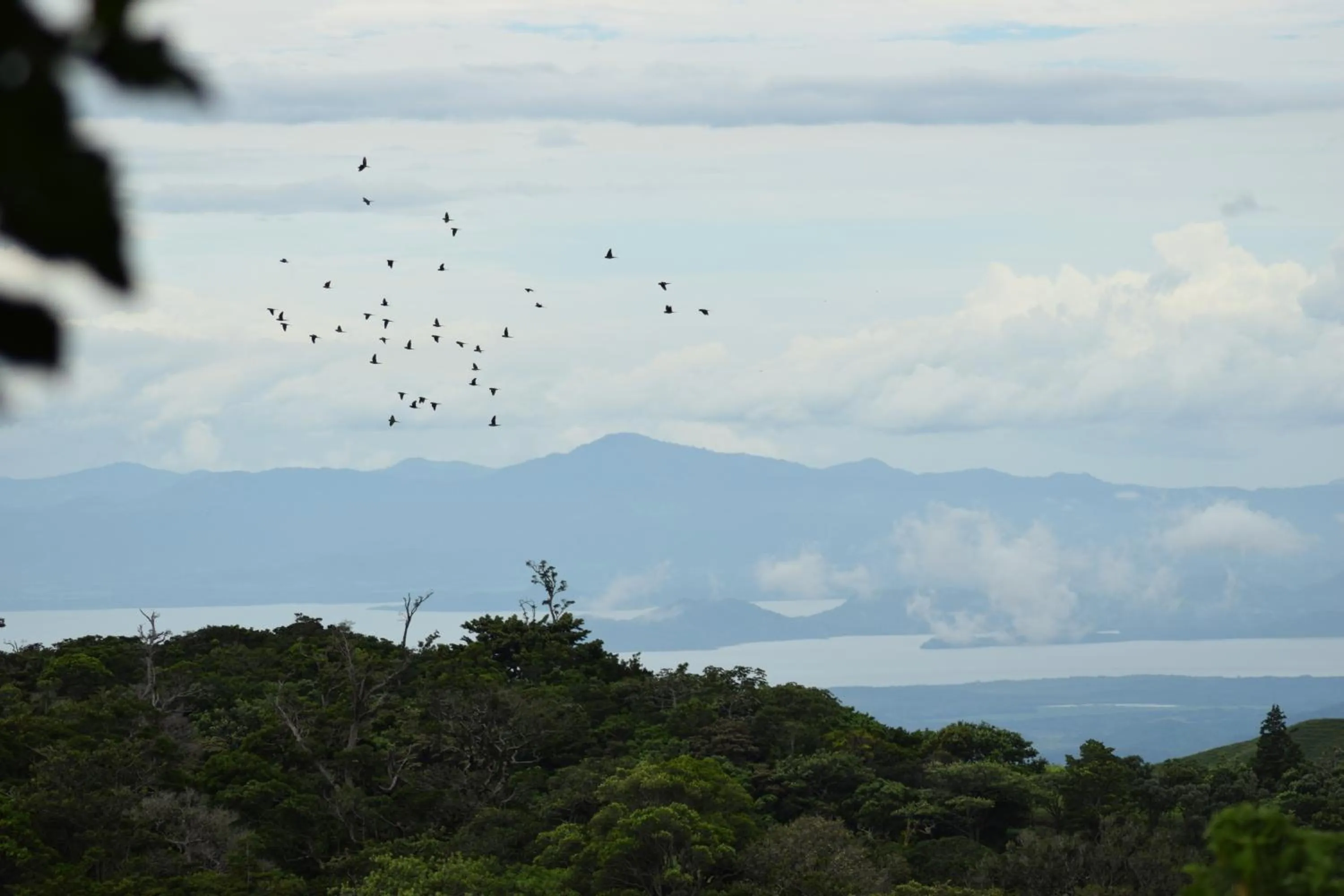 View (from property/room) in Cabañas La Pradera