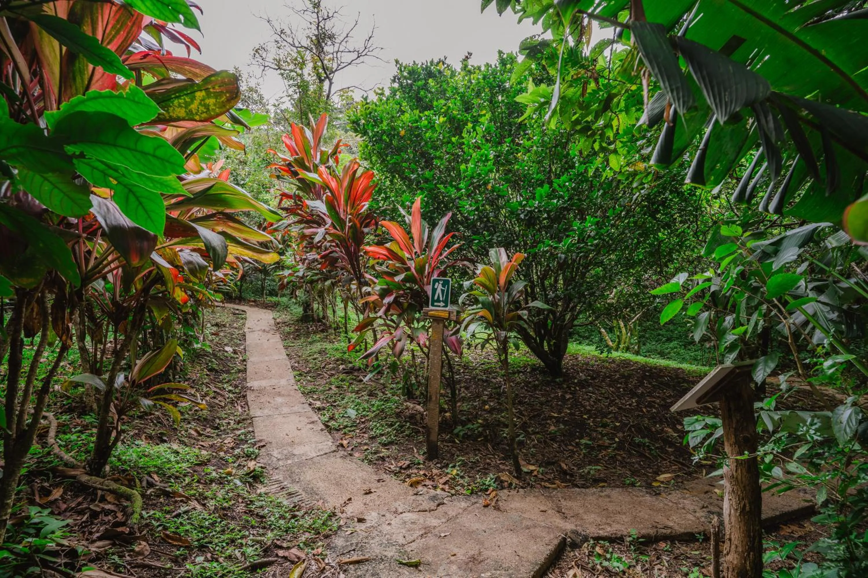 Hiking in Cabañas La Pradera