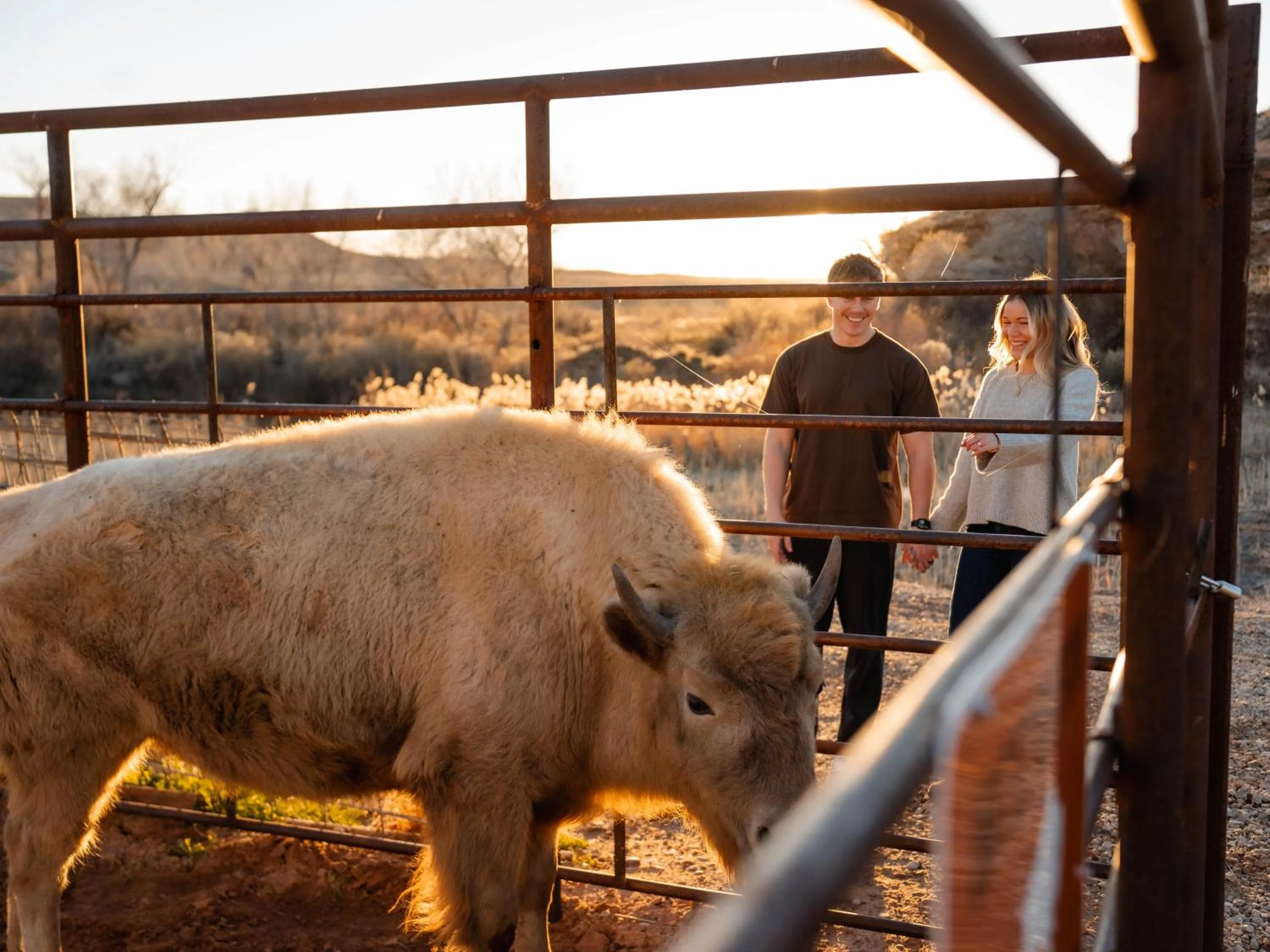 Zion White Bison Glamping & RV Resort