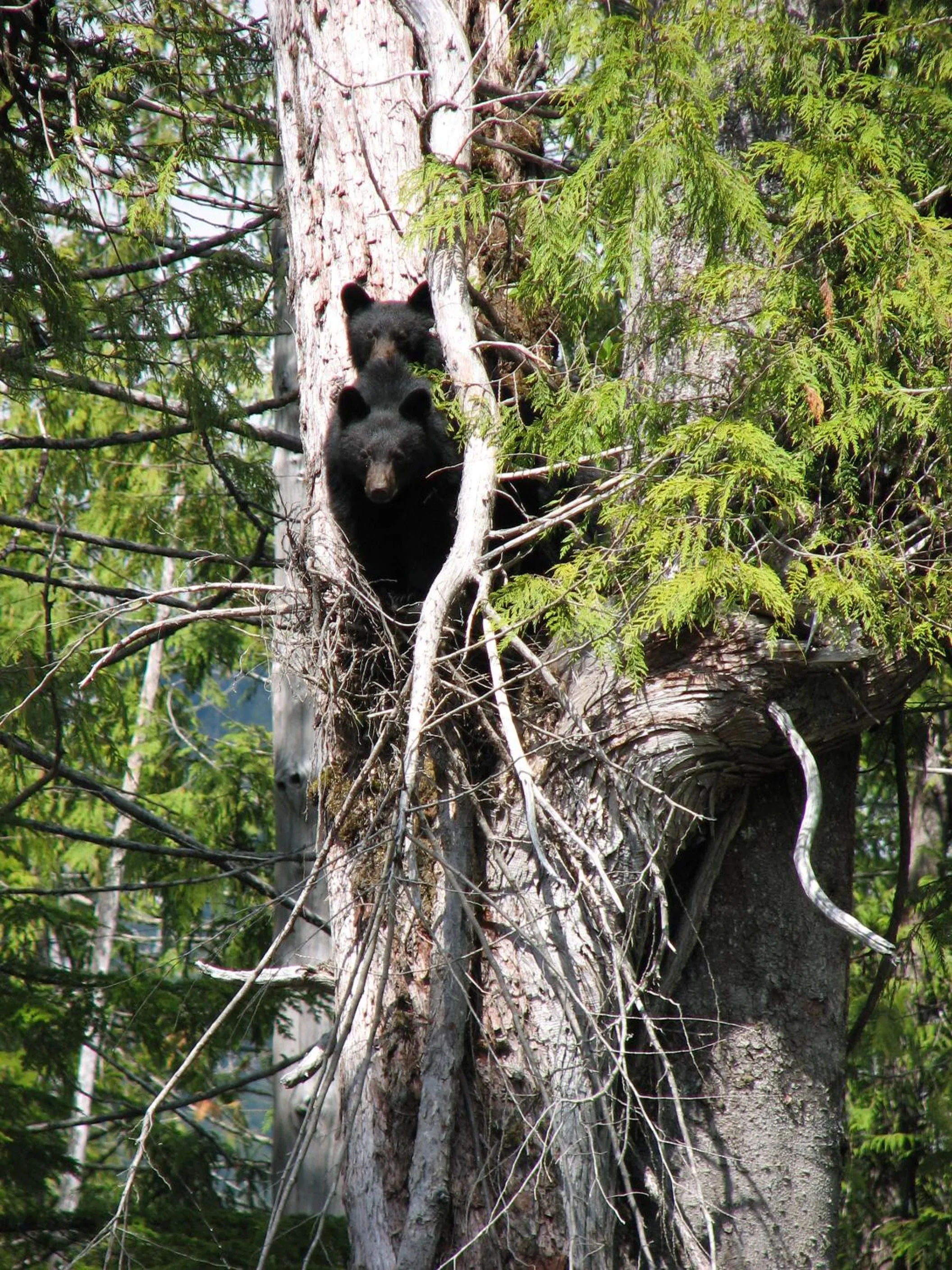 Day in Liahona Guest House